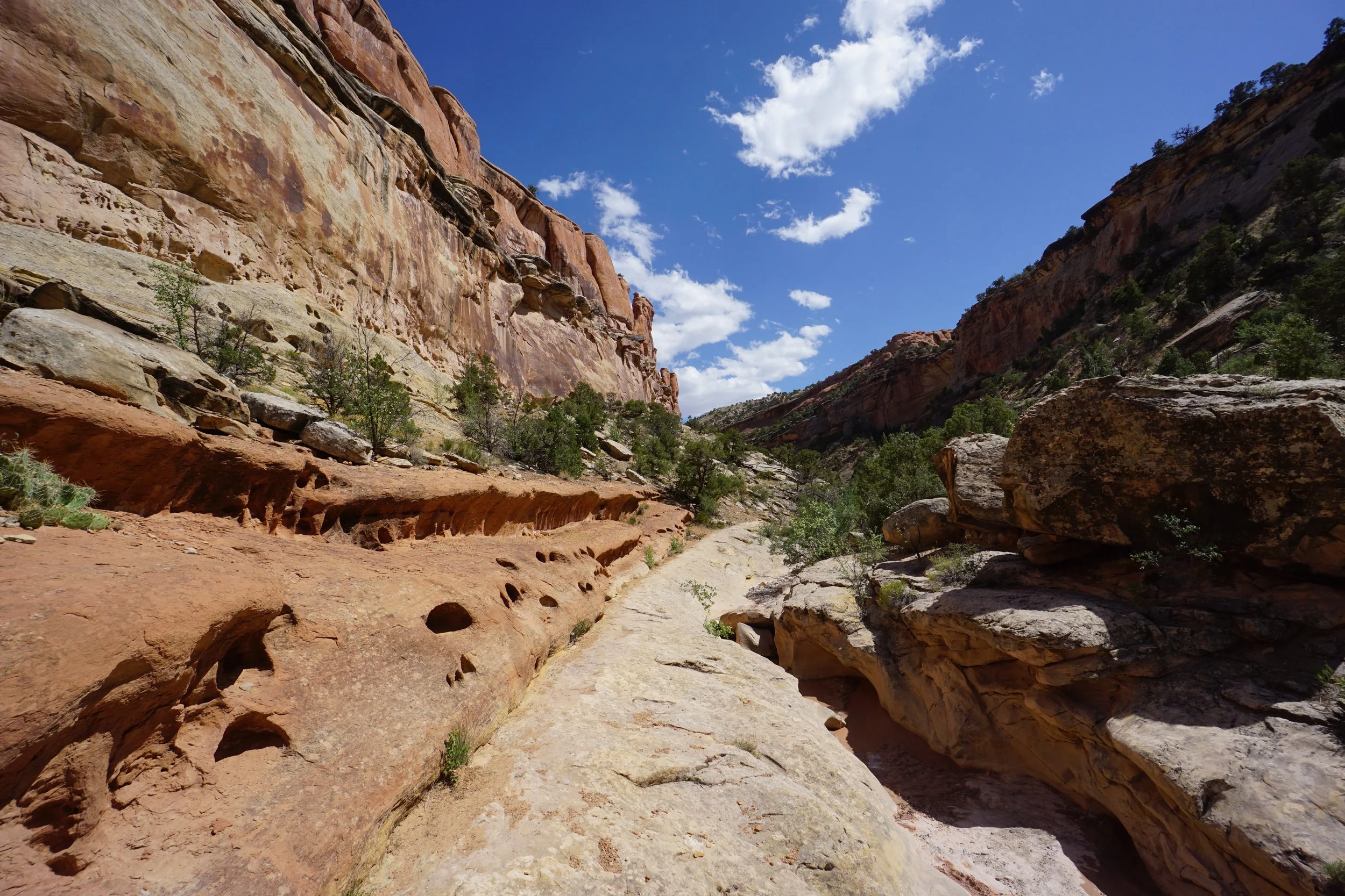 EchoCanyonCOLMDSC06210.JPG