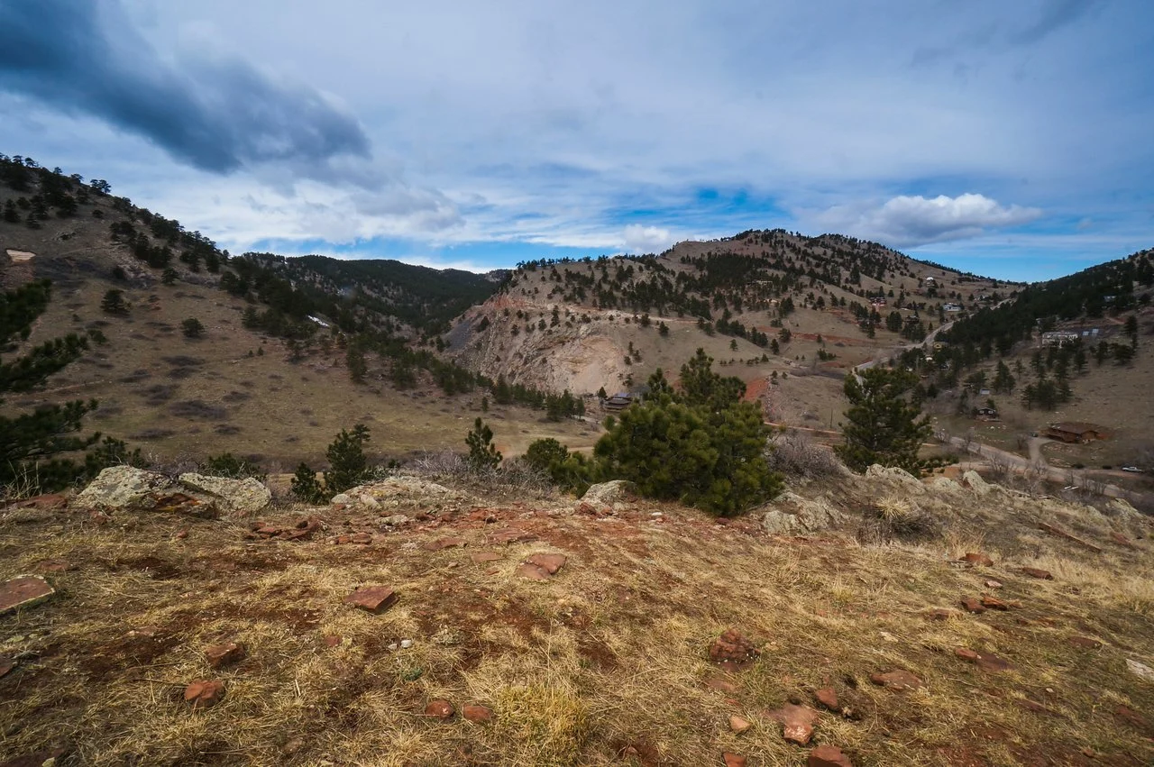 DSC08658-1 copy-X2.jpg