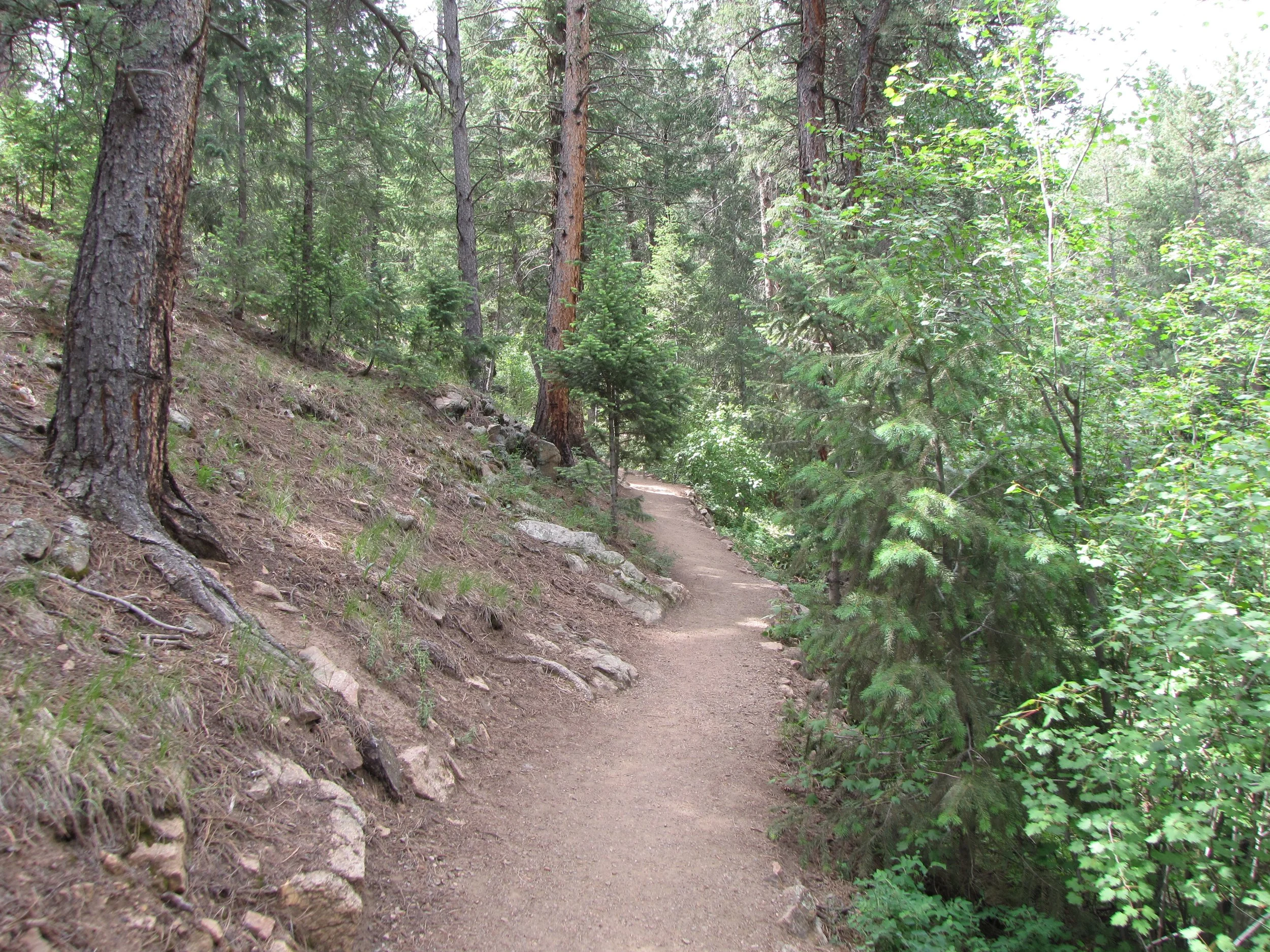 MaxwellFallsIMG_0438.jpg