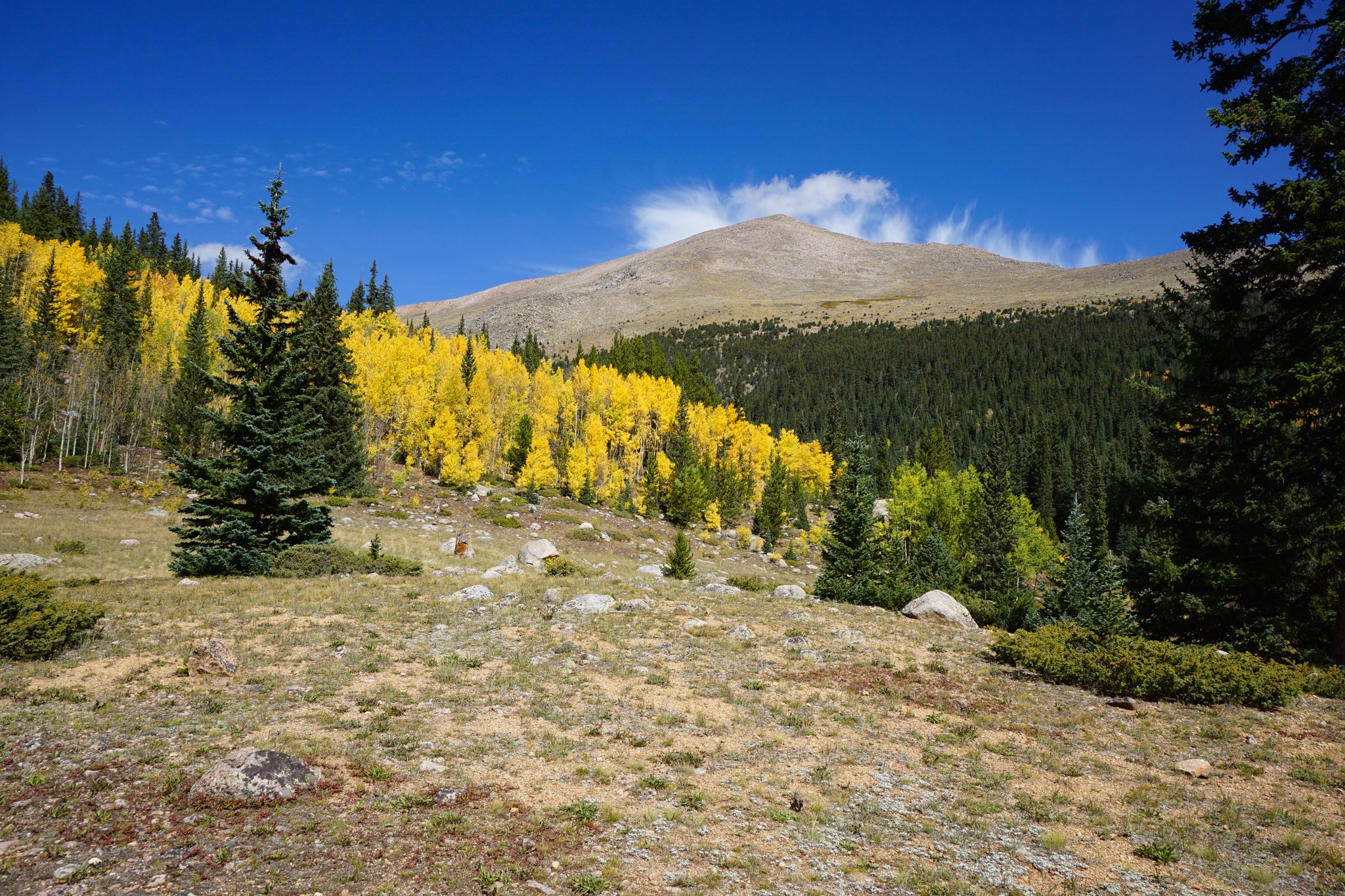 AbyssTrailDSC04961-2.jpg
