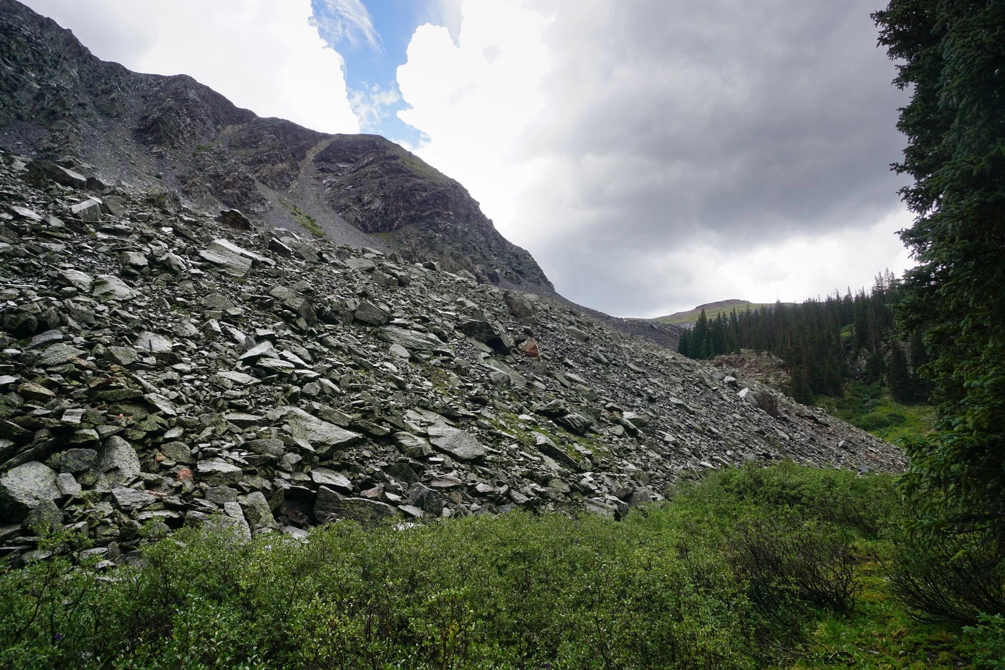LamphierLakesDSC03725-2.jpg