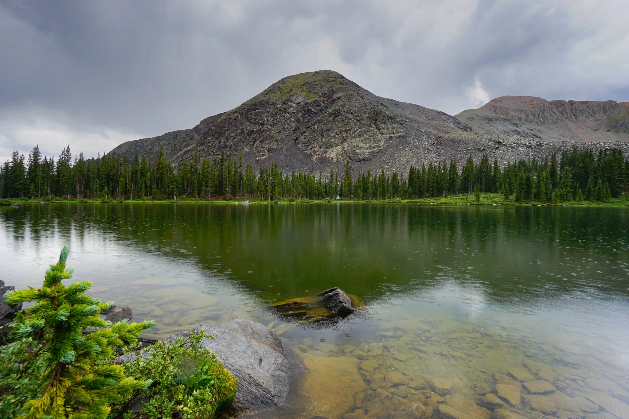 LamphierLakesDSC03768-2.jpg