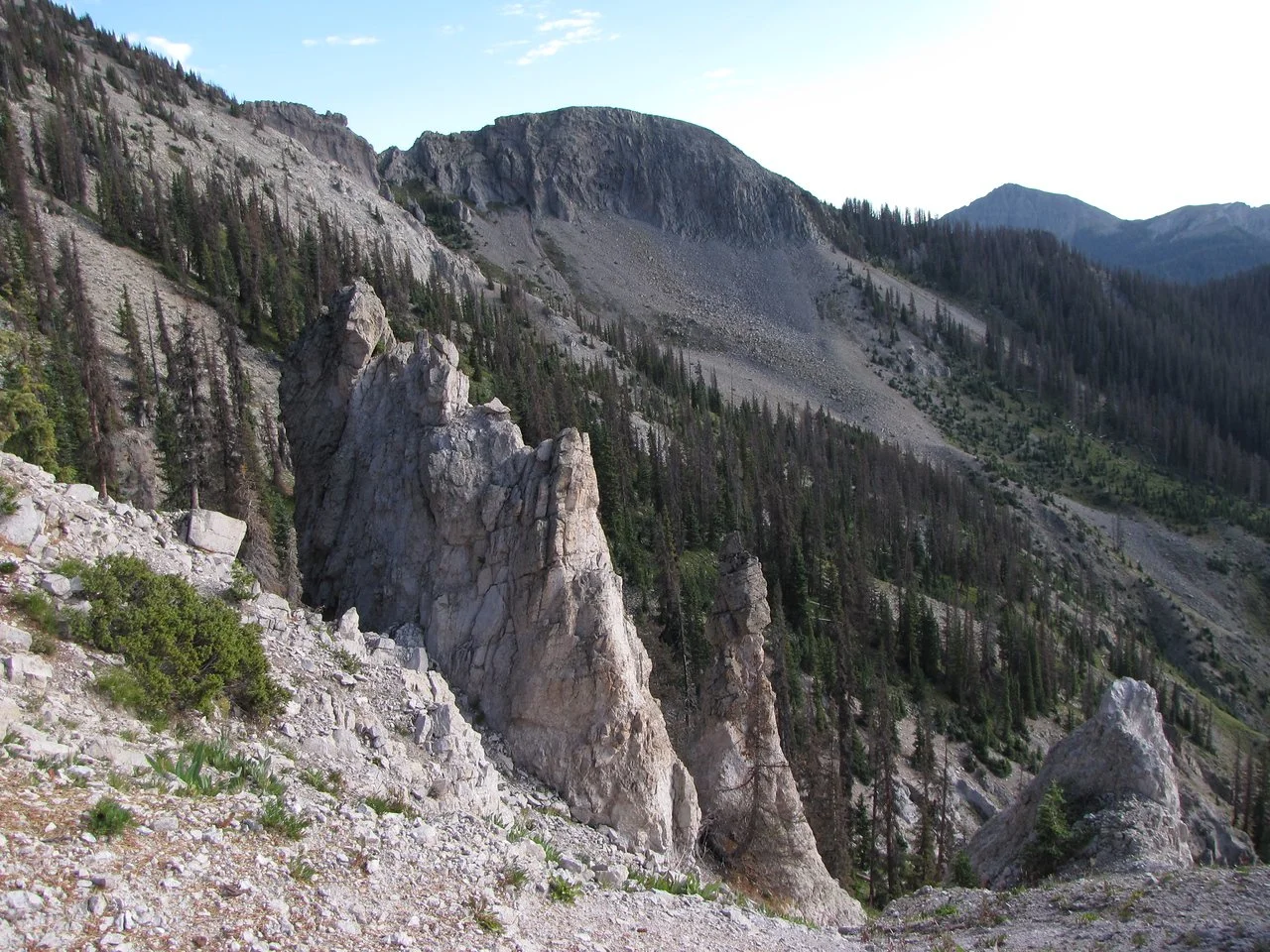 IMG_4017-X2.jpg