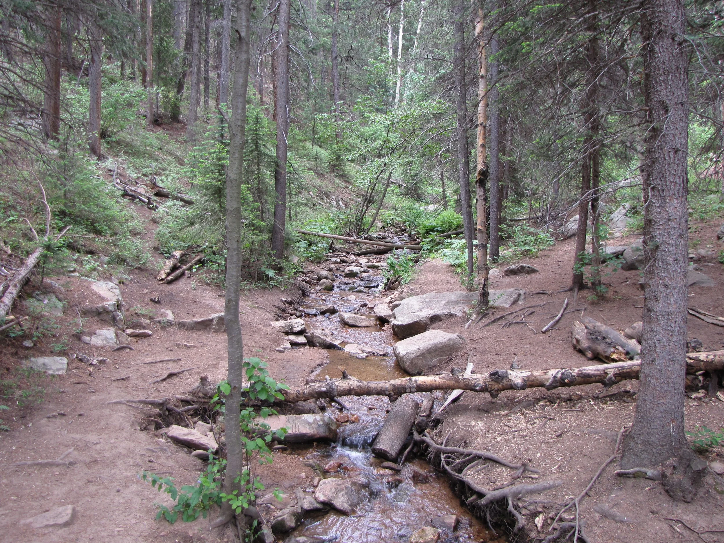 MaxwellFallsIMG_0458.jpg