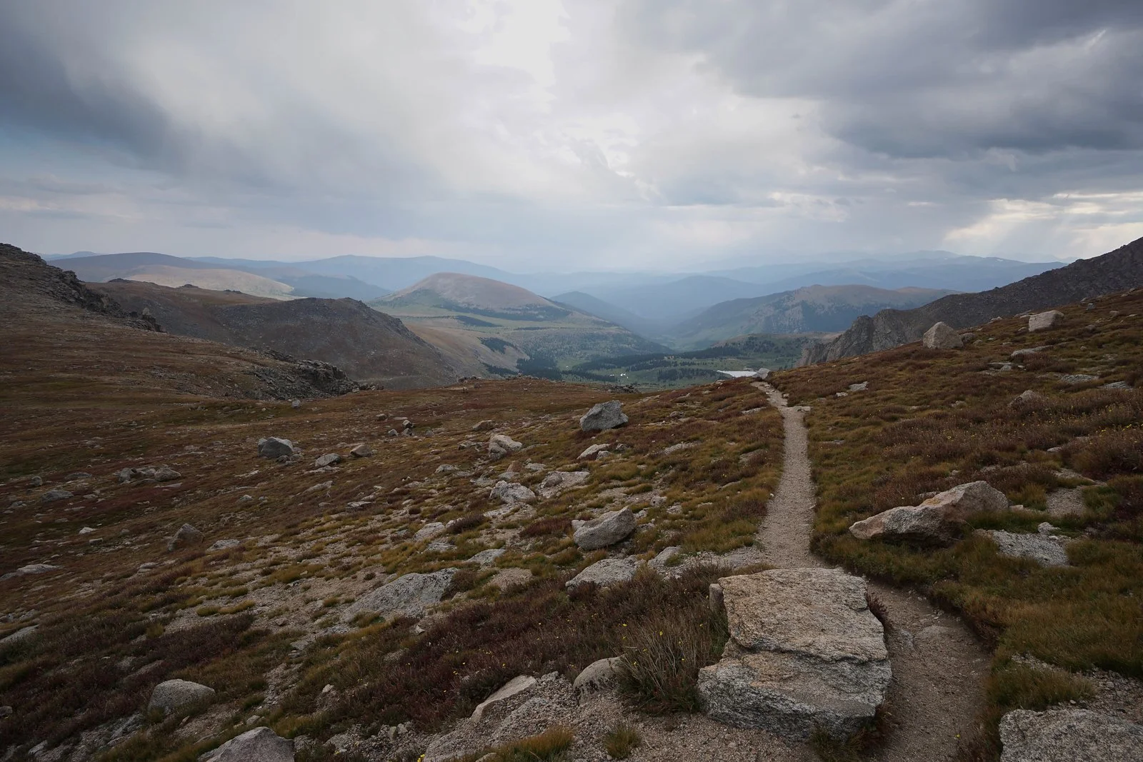 DSC01136-2-X3 - Copy.jpg