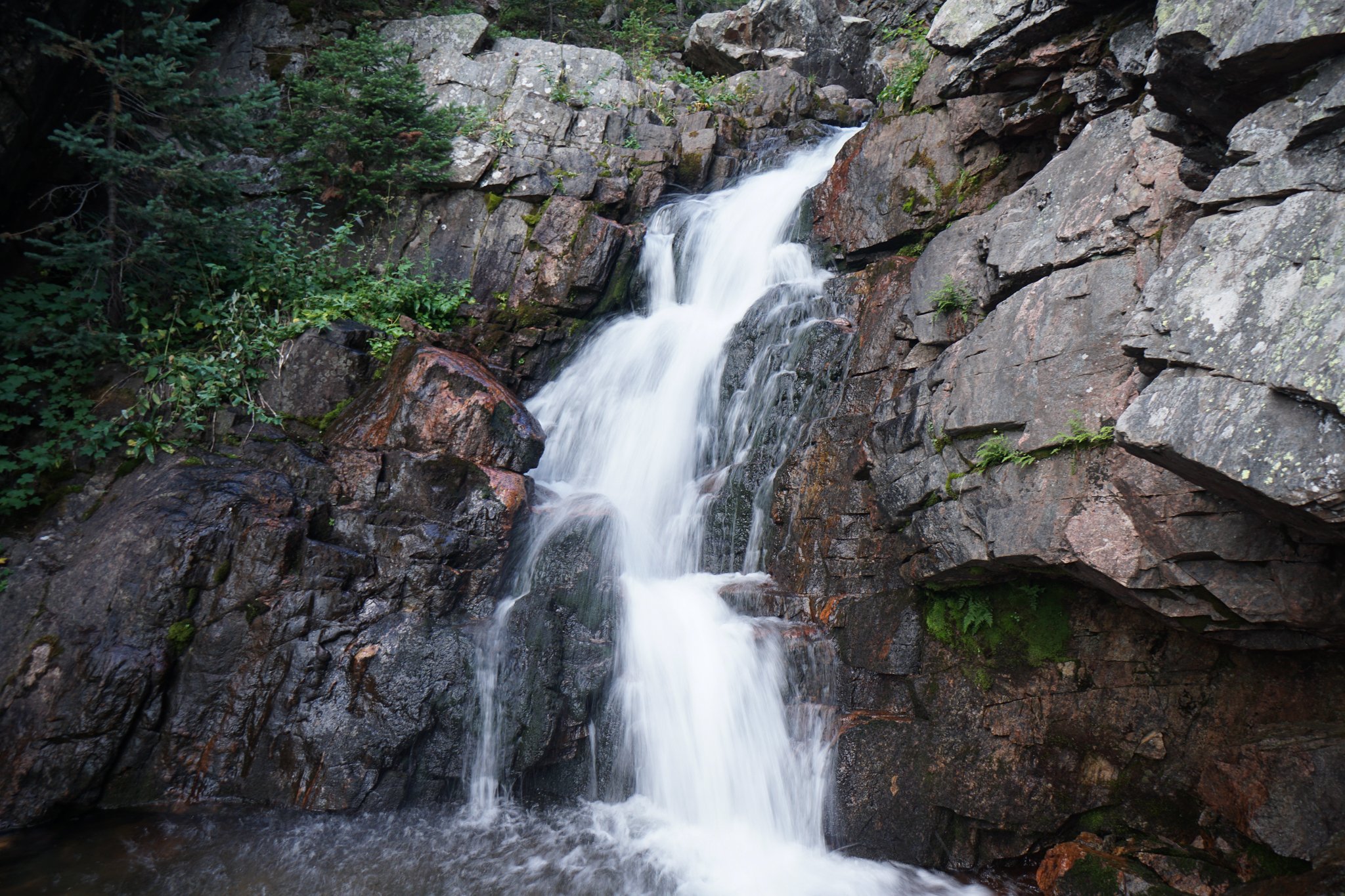 DSC04245-2.jpg