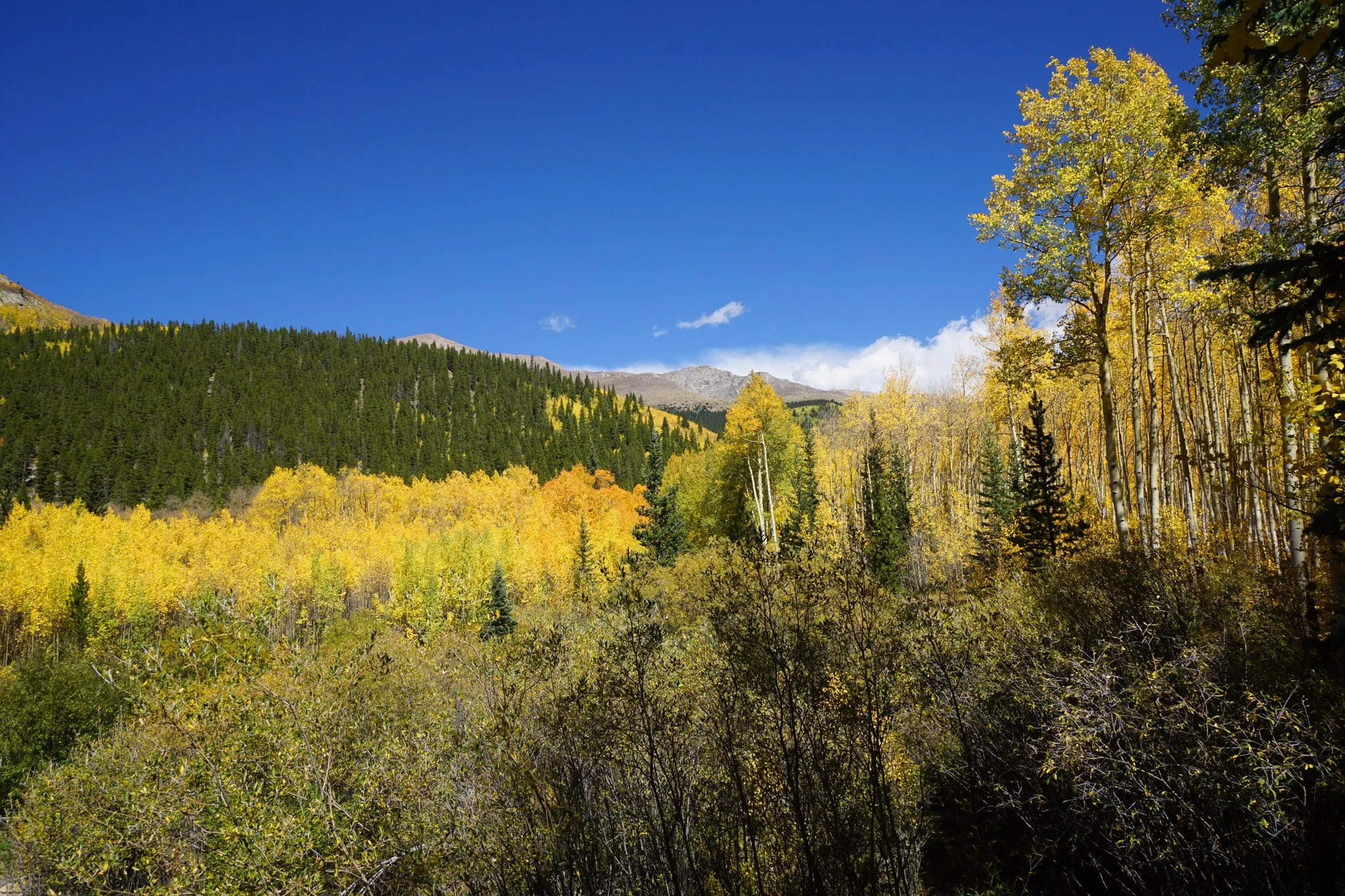 AbyssTrailDSC05059-2.jpg