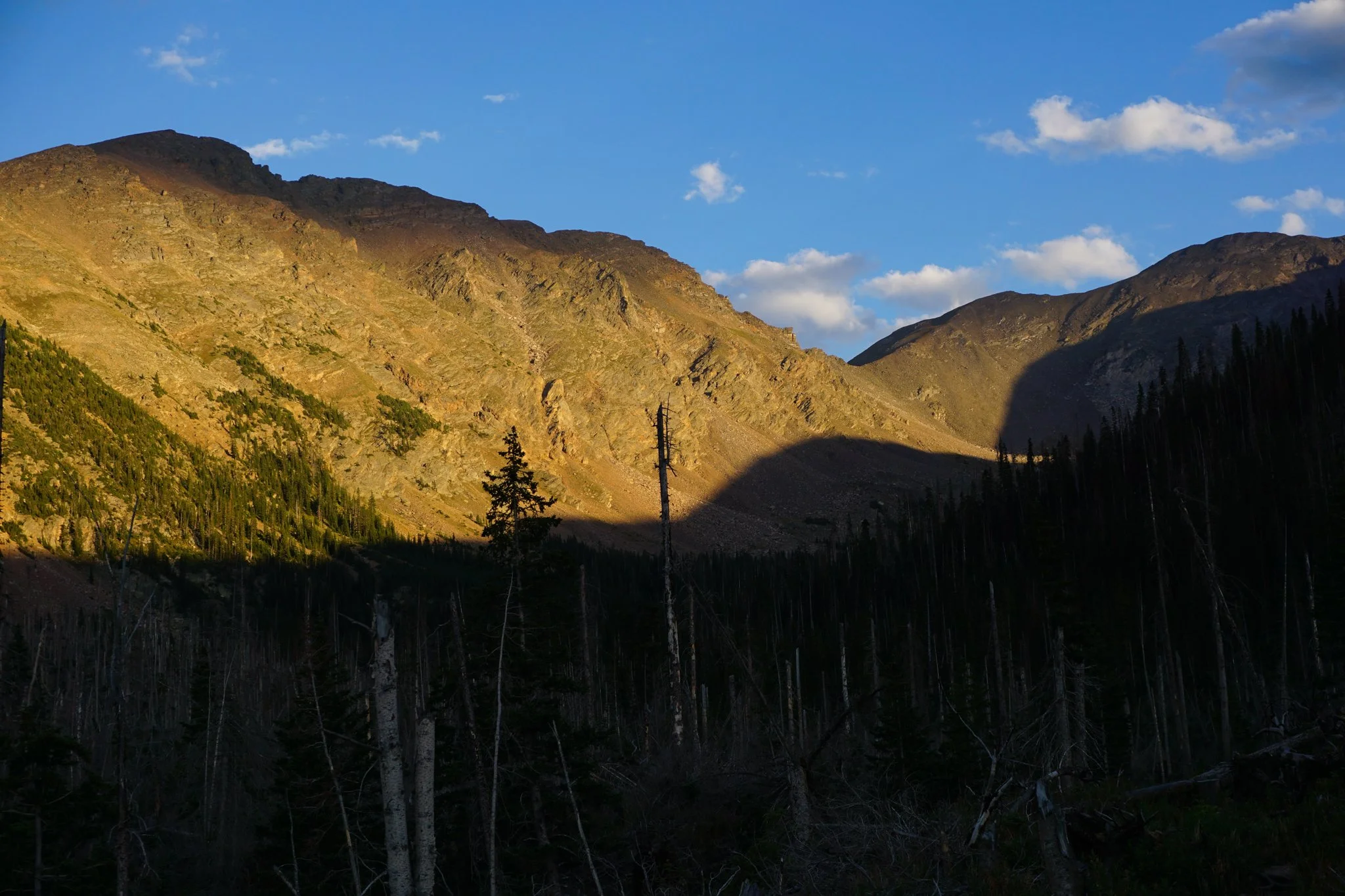 DSC04314-2.jpg