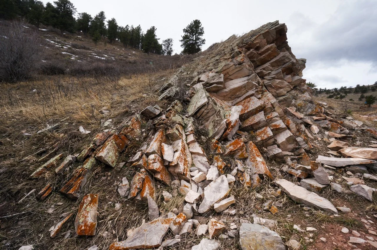 DSC08648-1 copy-X2.jpg