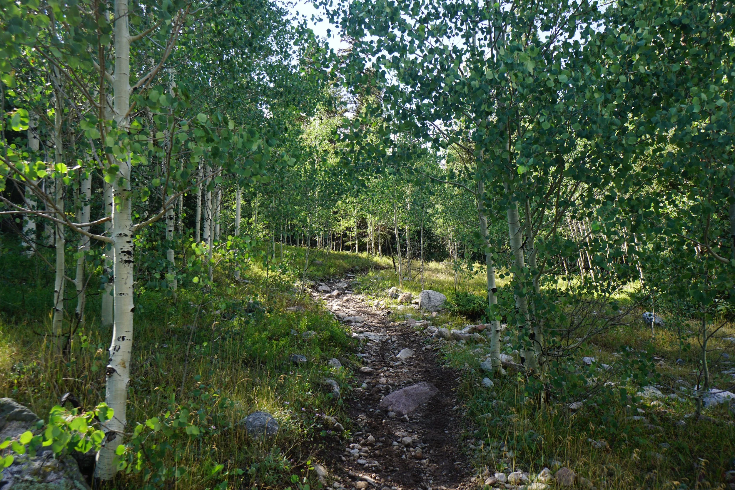 MillLakeDSC03853.JPG
