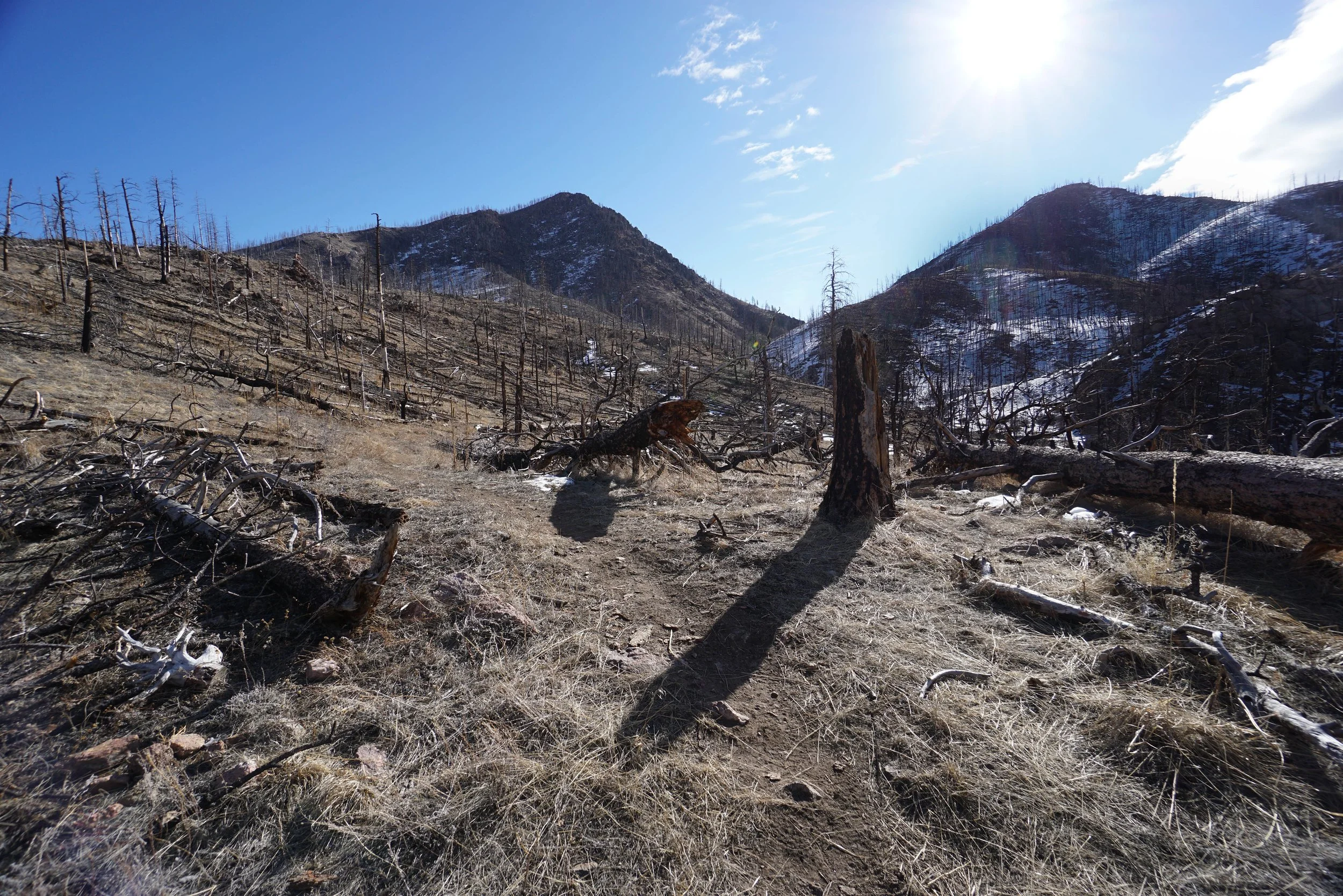 YoungGulchDSC00040-2-X5.jpg