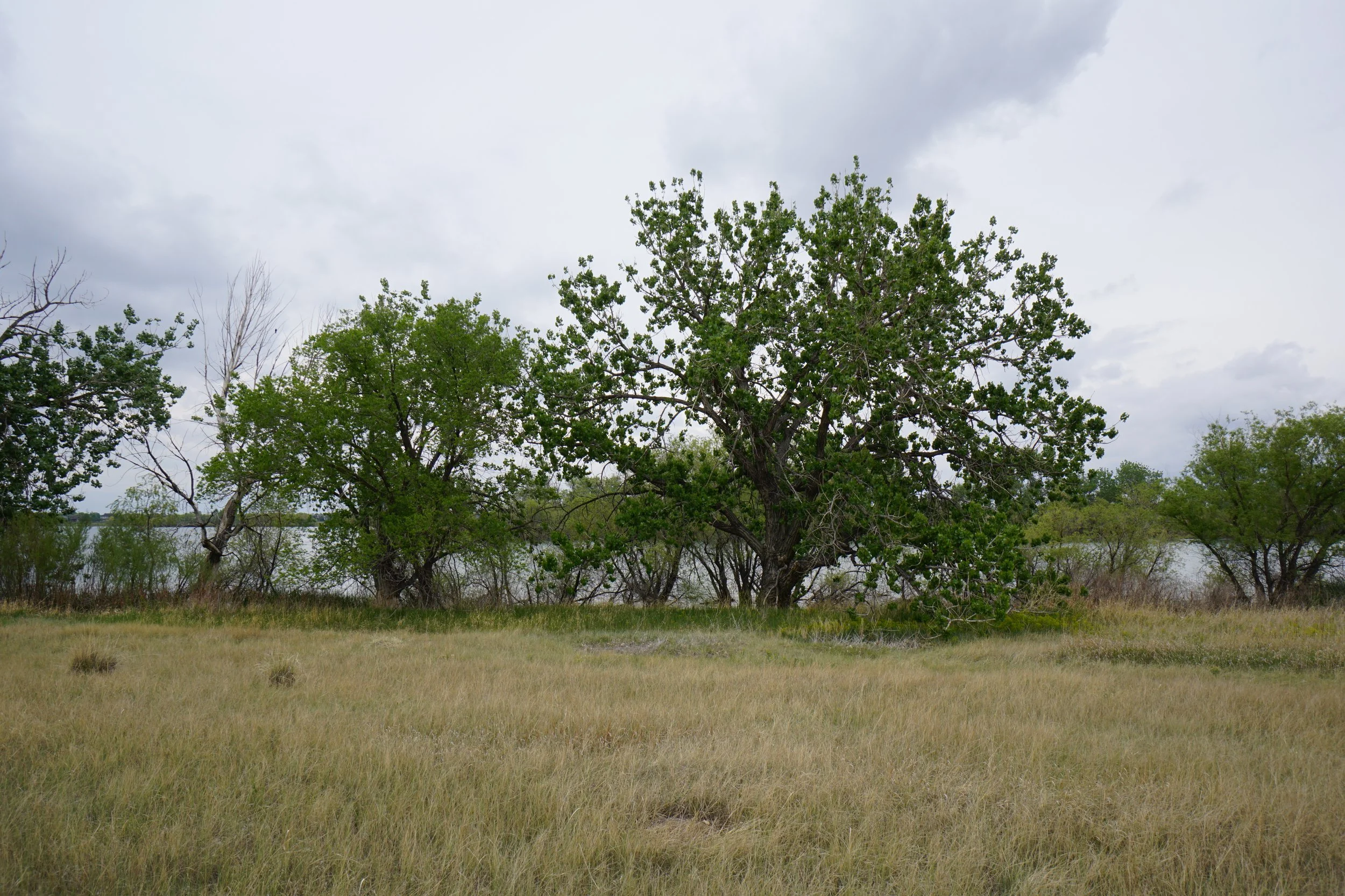 FossilCreekResDSC03126.JPG