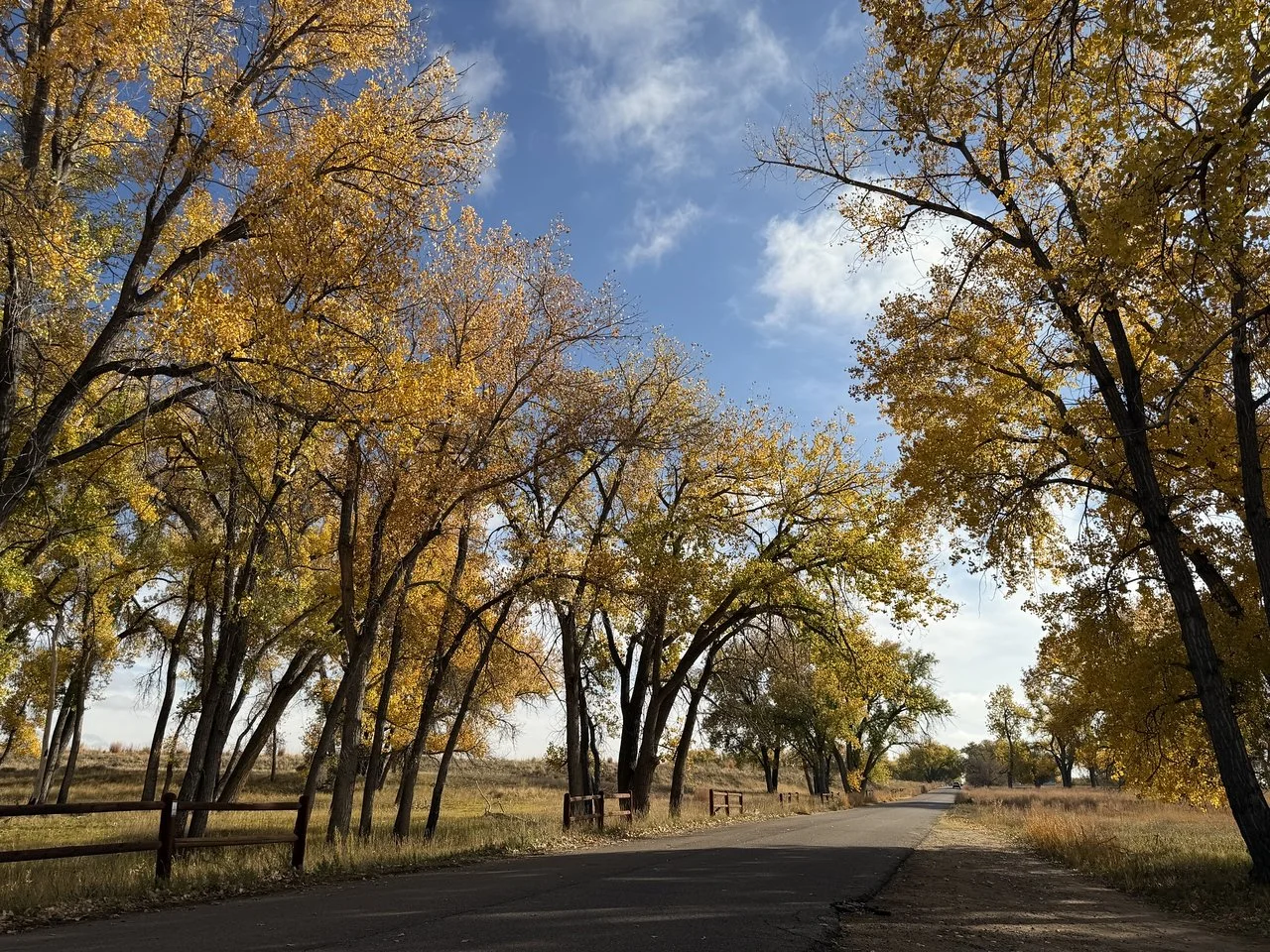 IMG_8418-X2.jpg