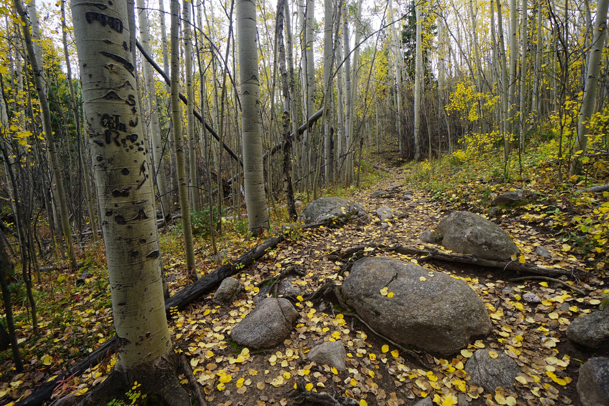 HellsHoleDSC04637-2.jpg