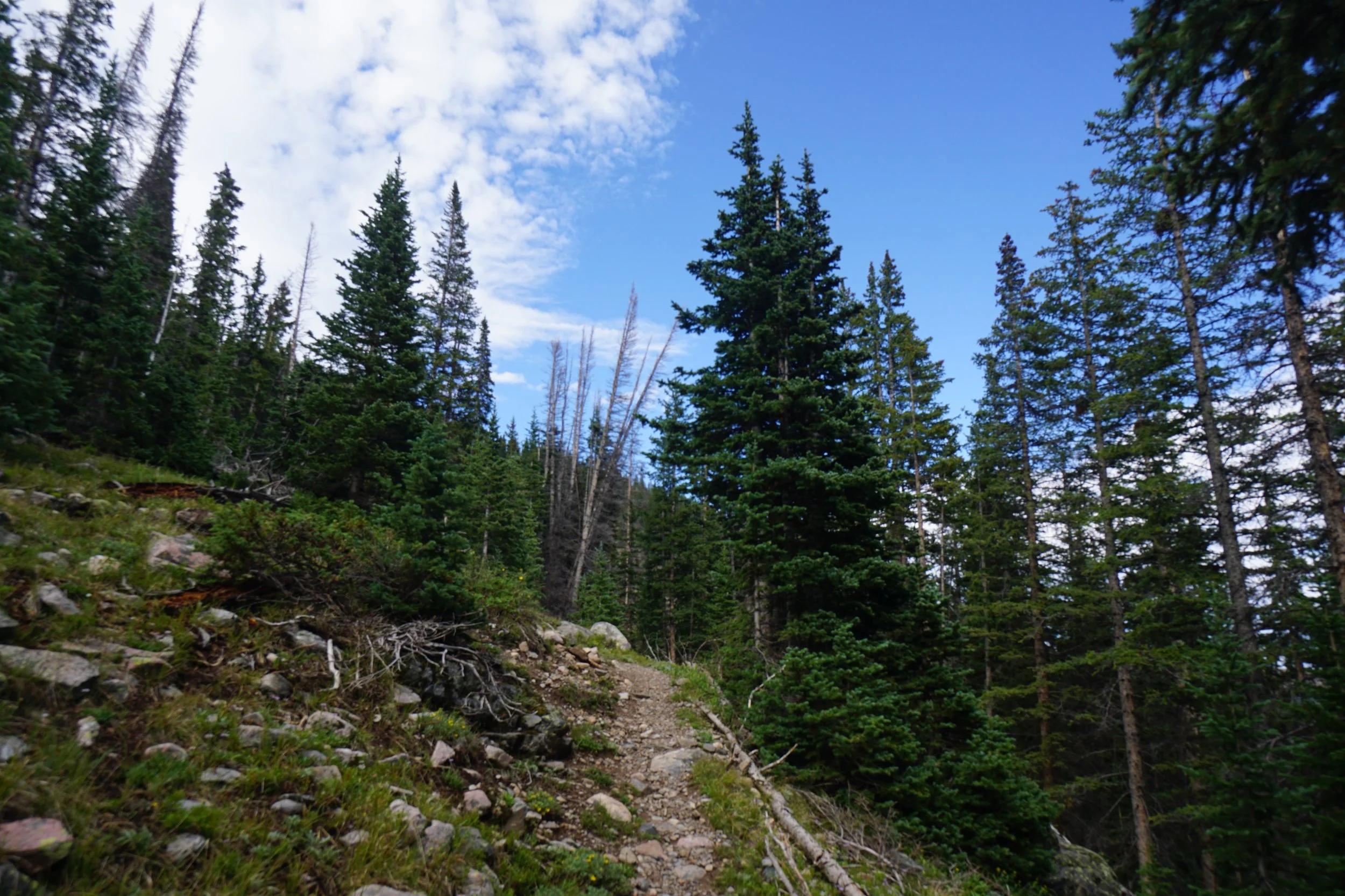 MillLakeDSC03877.JPG