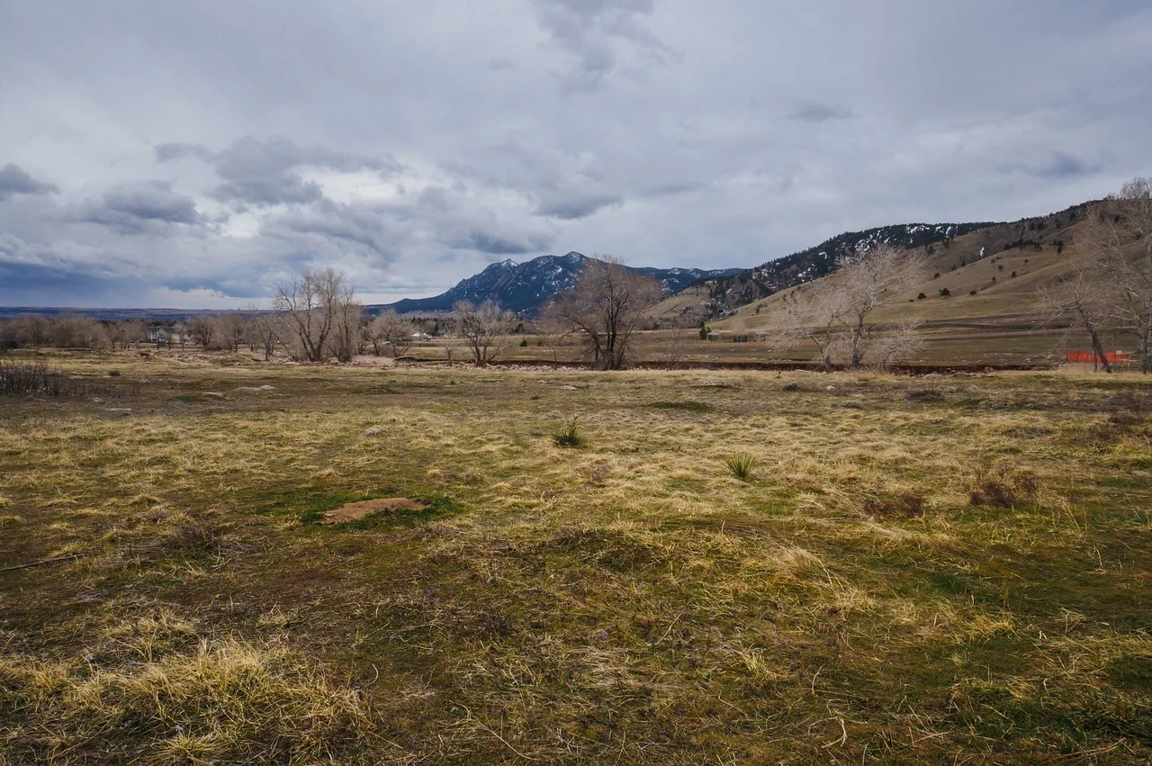 DSC08605-1 copy-X2.jpg