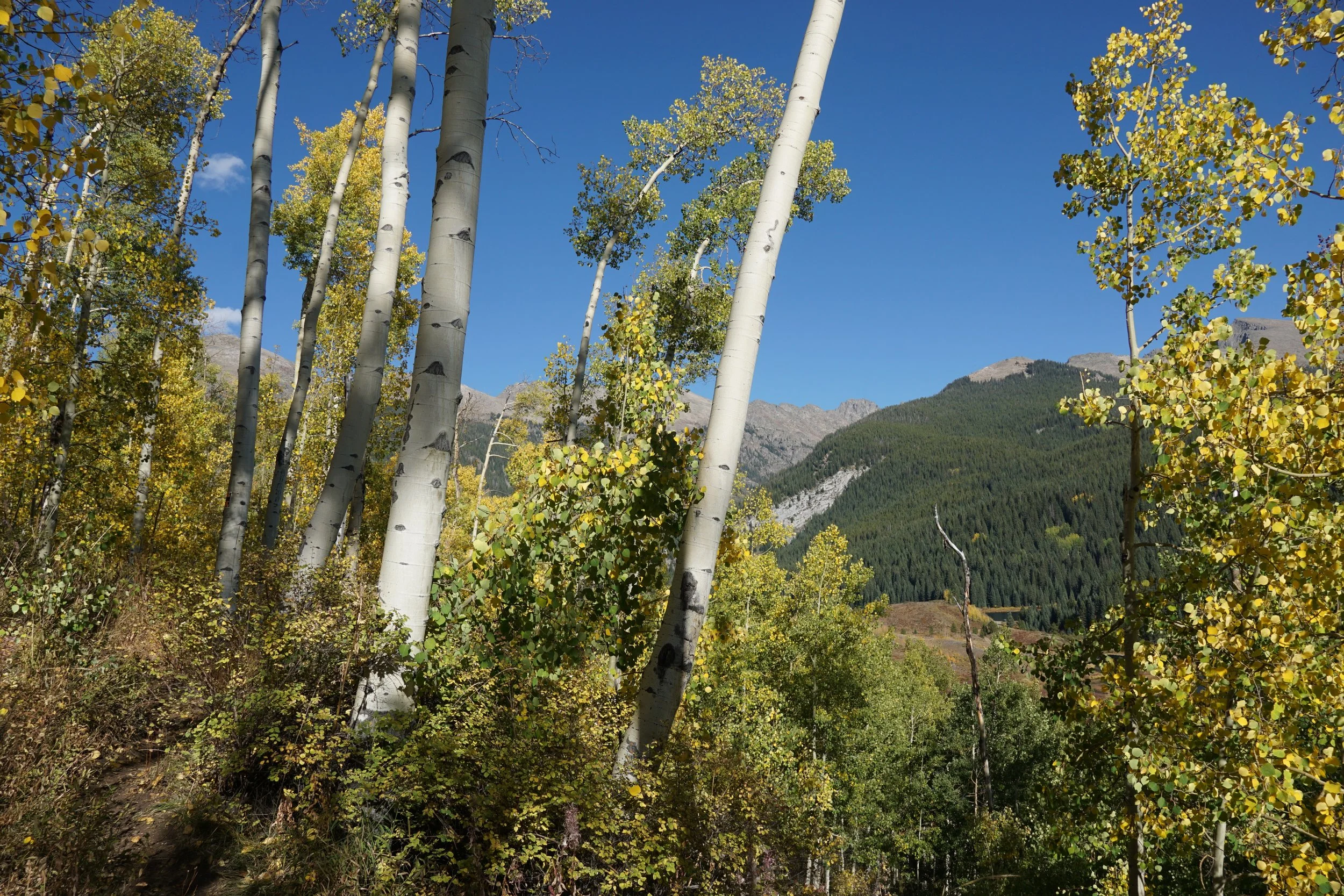 Eagle LakeDSC06627.JPG