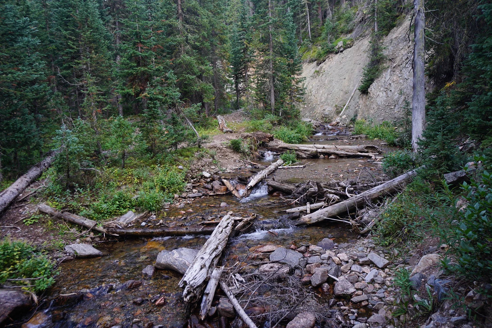 DSC04205-2.jpg