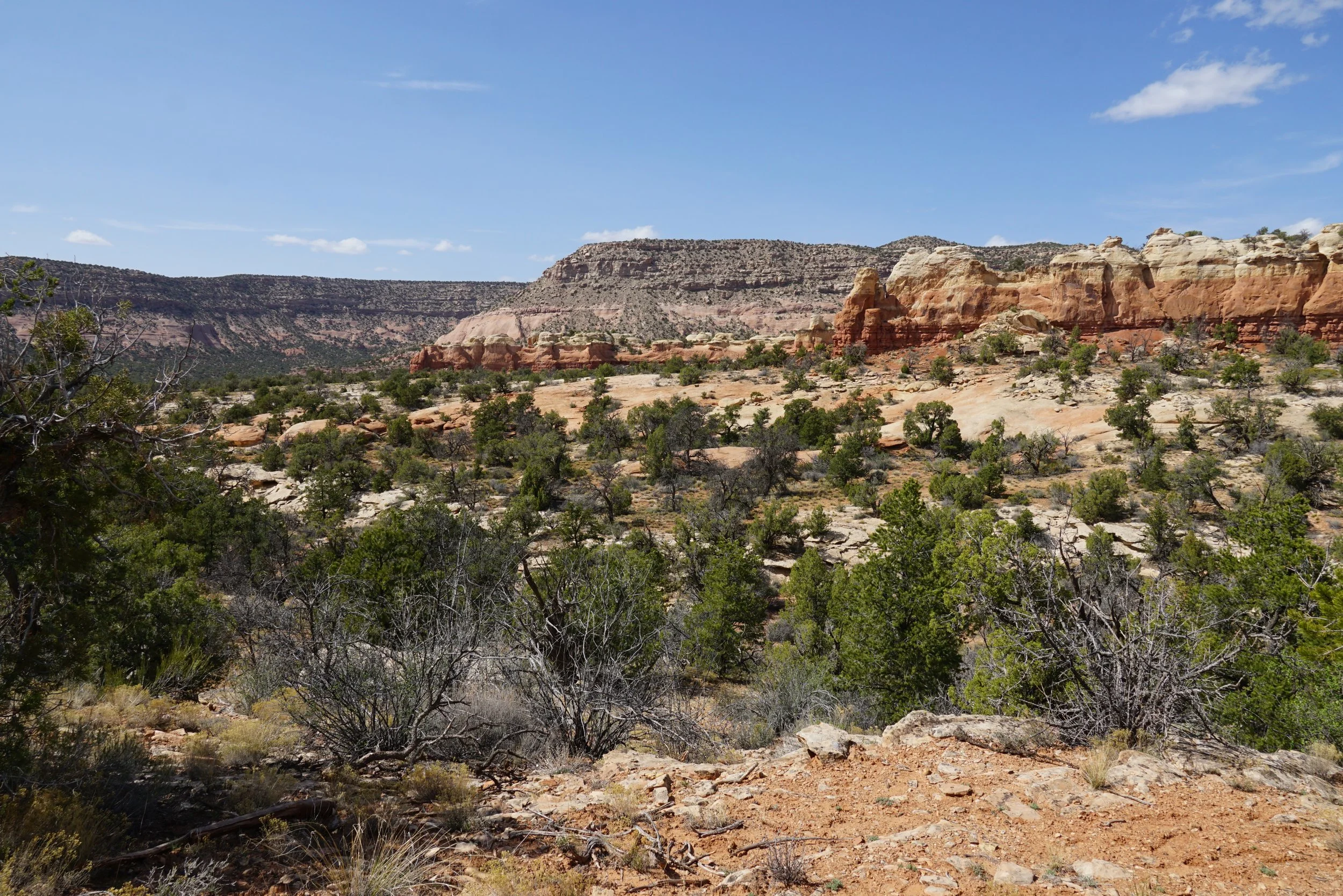 SandCanyonDSC03437.JPG
