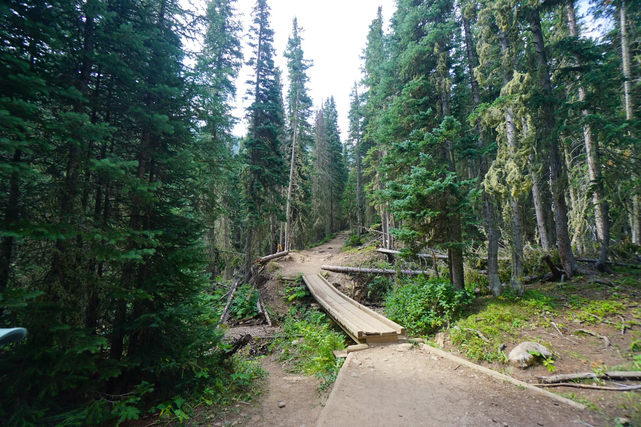 HeartLakeDSC03920-2.jpg