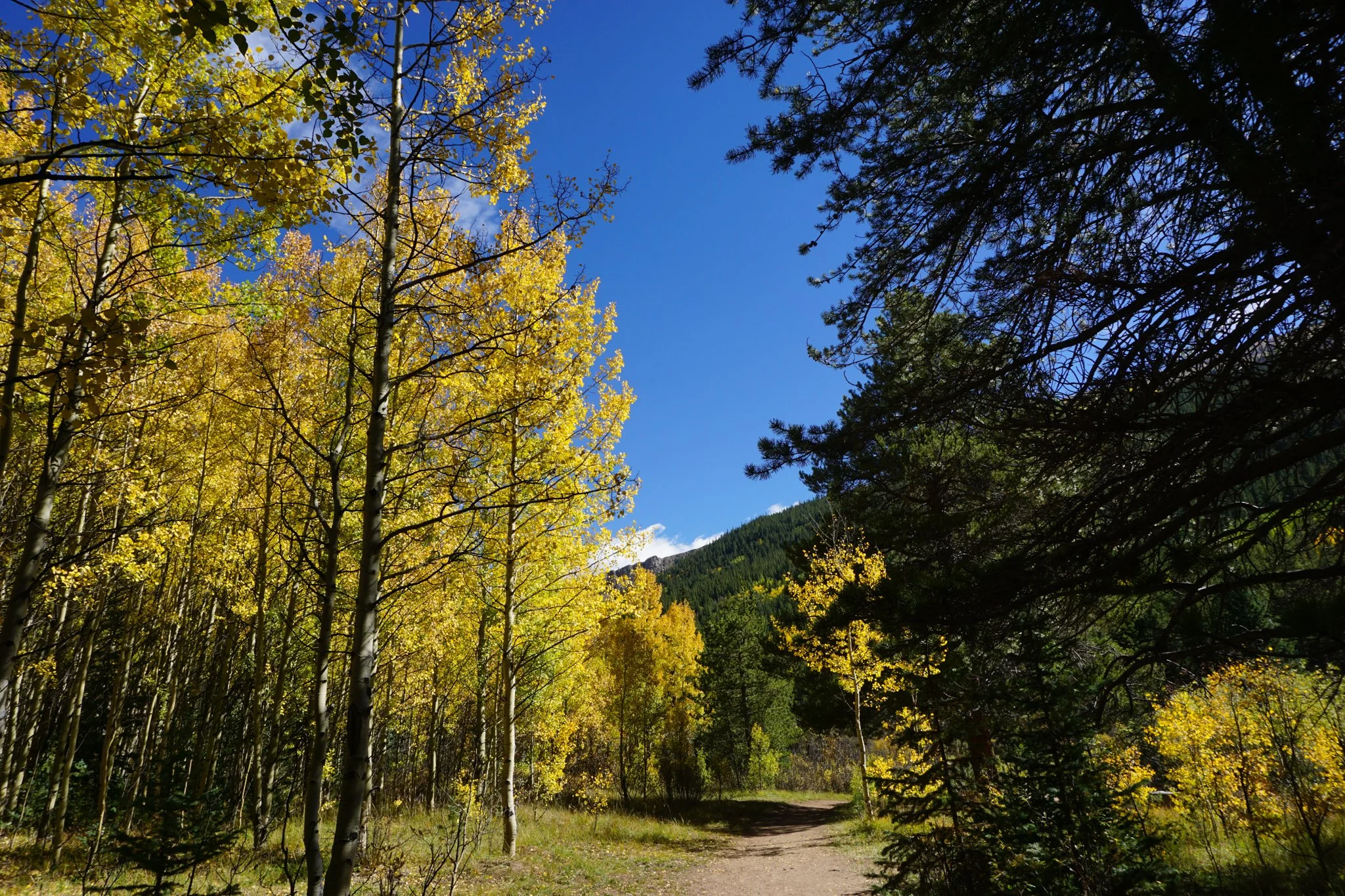AbyssTrailDSC04774-2.jpg