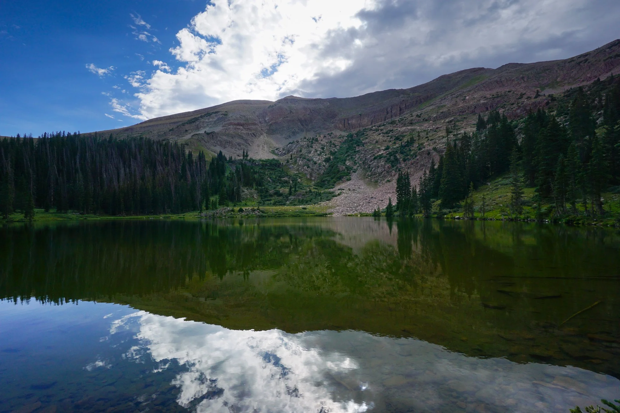 MillLakeDSC03888-3.jpg