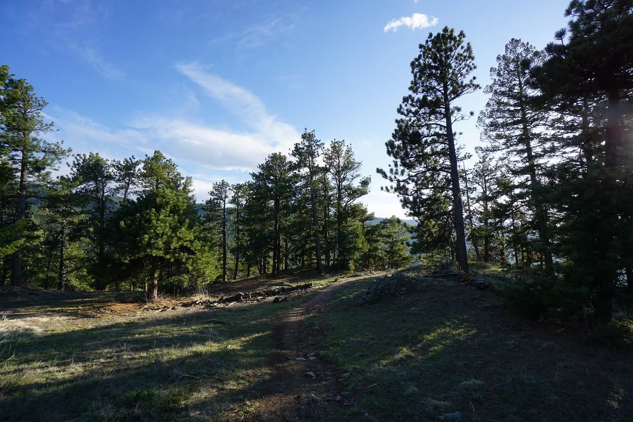 RangeViewOSMPDSC03667-X2.jpg