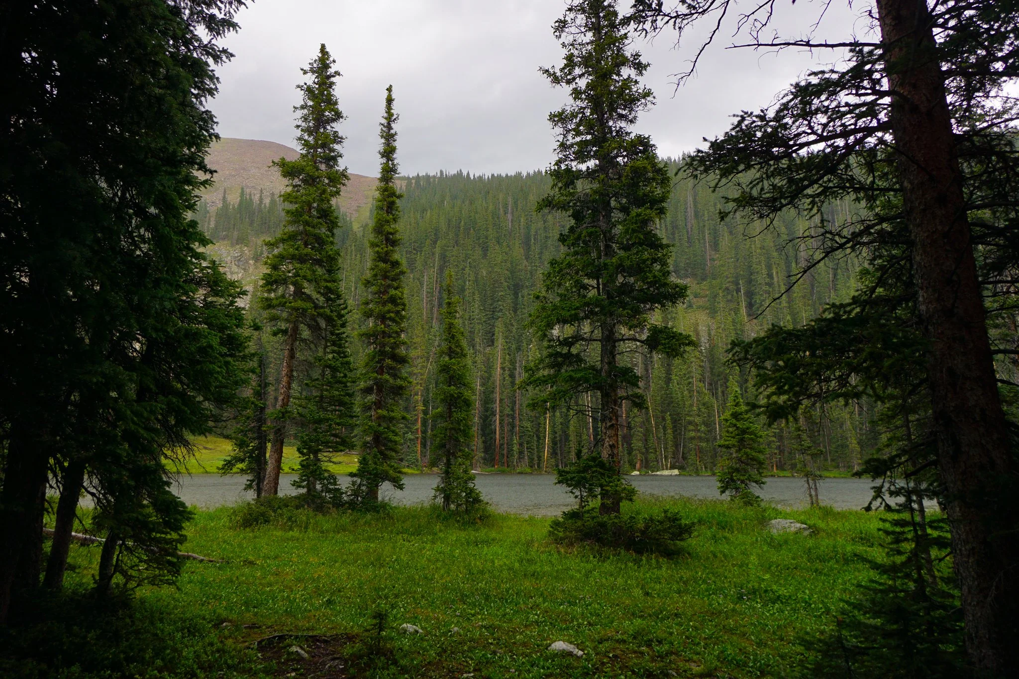 LamphierLakesDSC03710-2.jpg