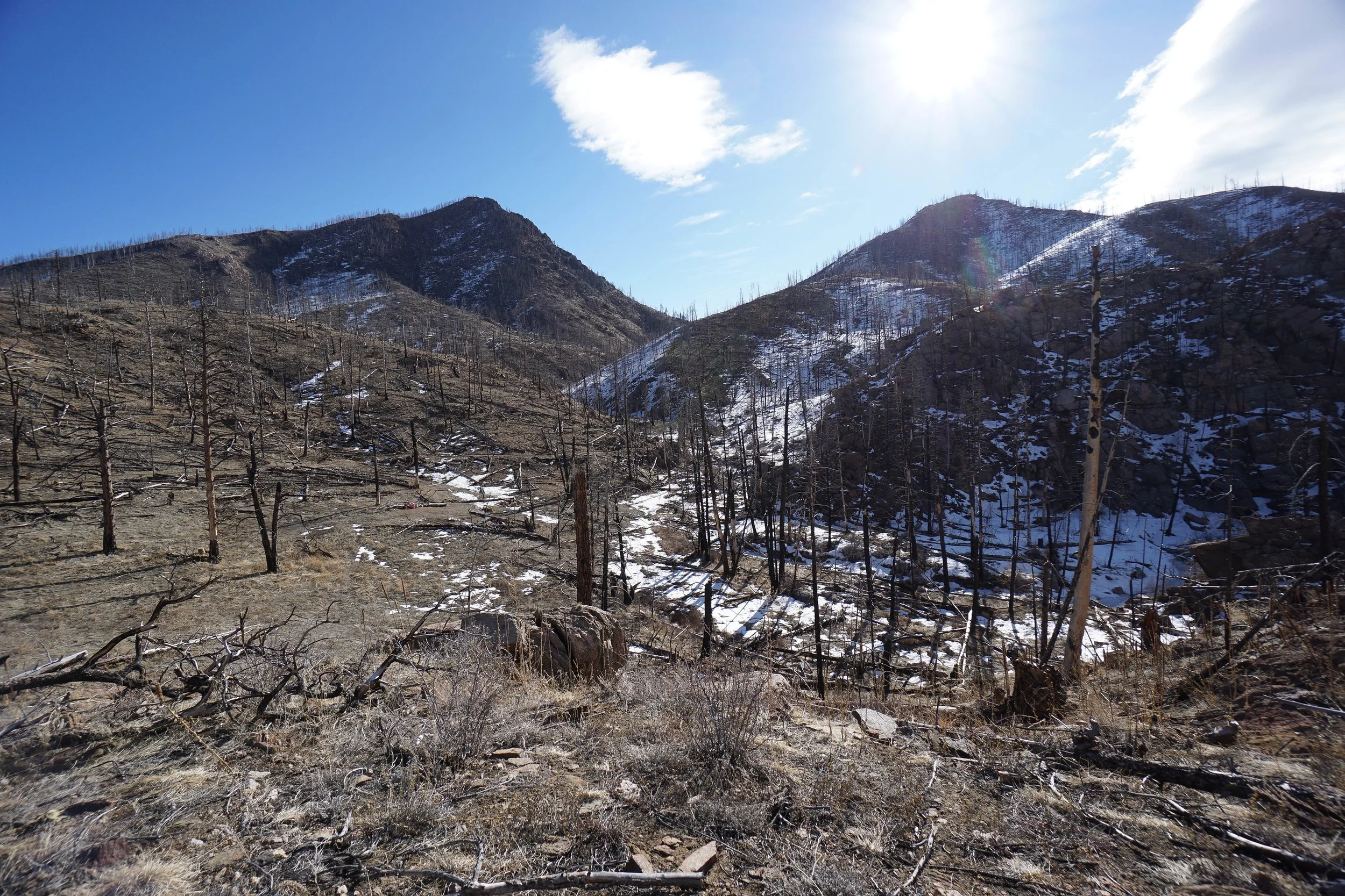 YoungGulchDSC00048-2-X5.jpg