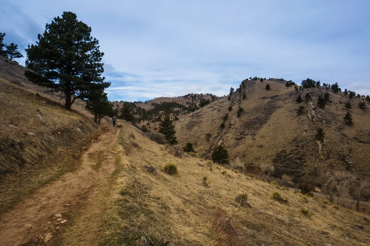 DSC08636-1 copy-X2.jpg