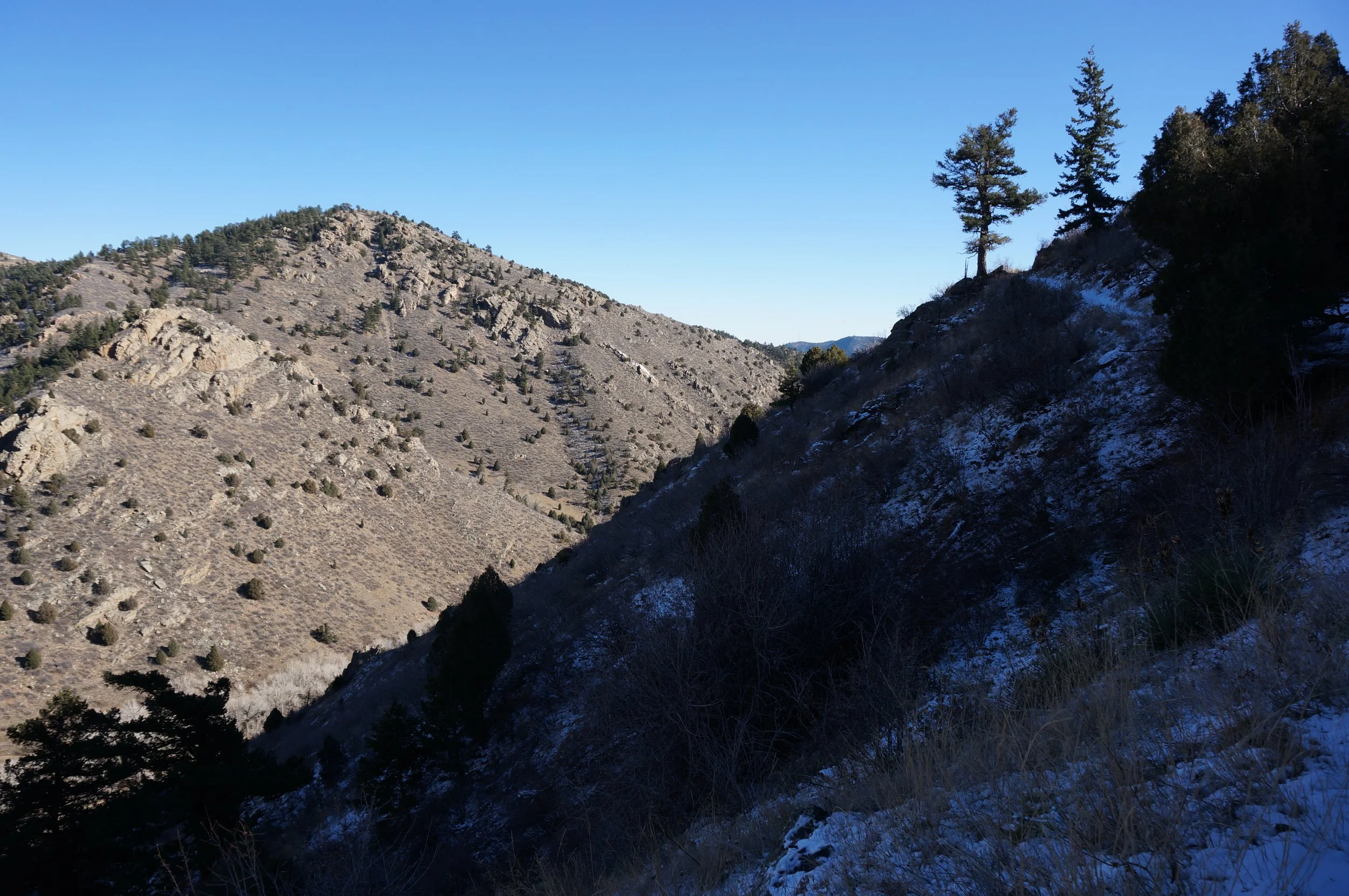 TravoisEveningDSC07145.jpg