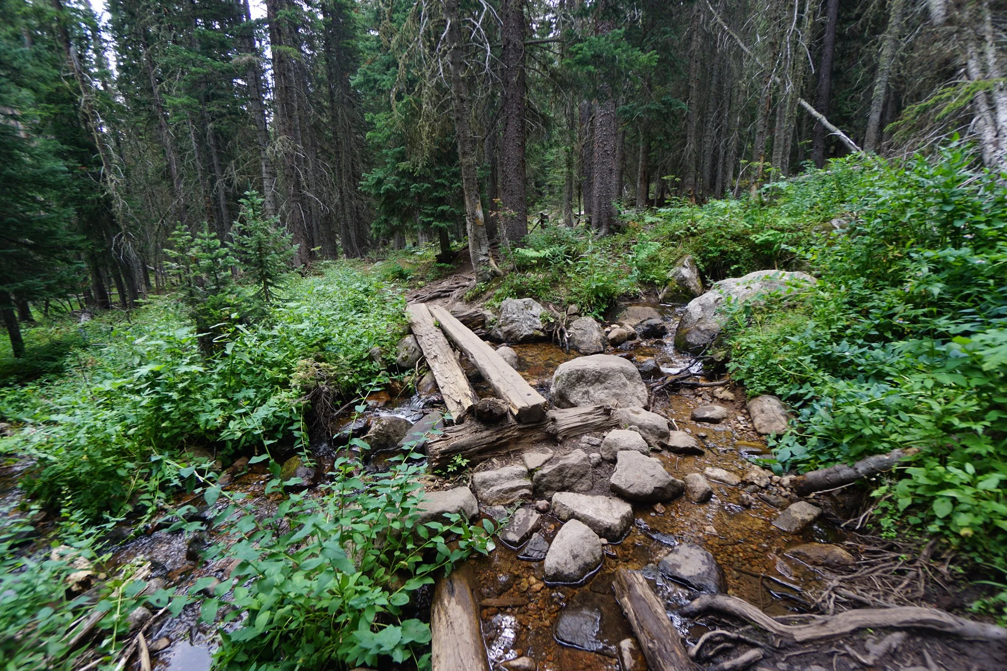 HeartLakeDSC03930-2.jpg