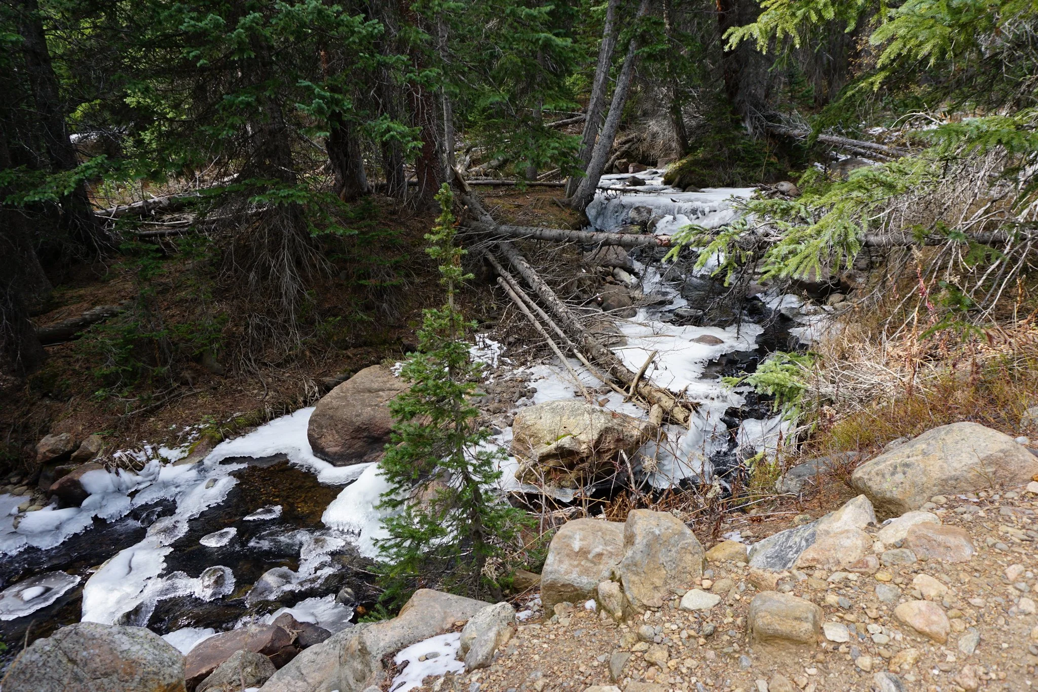 FallRiverResDSC00242-2.jpg