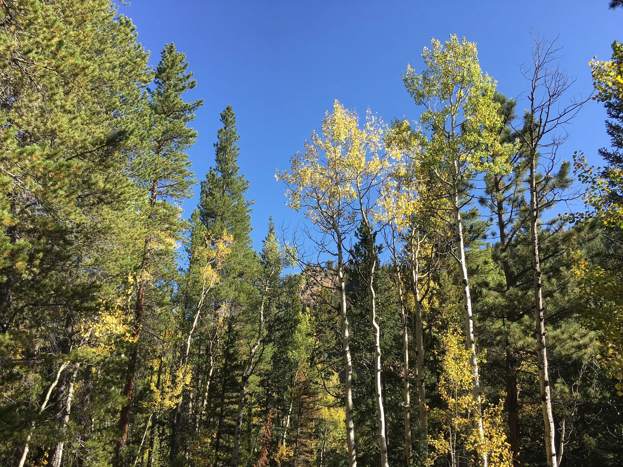 2019092113514643--2054342373171436482-IMG_4564-X4.jpg