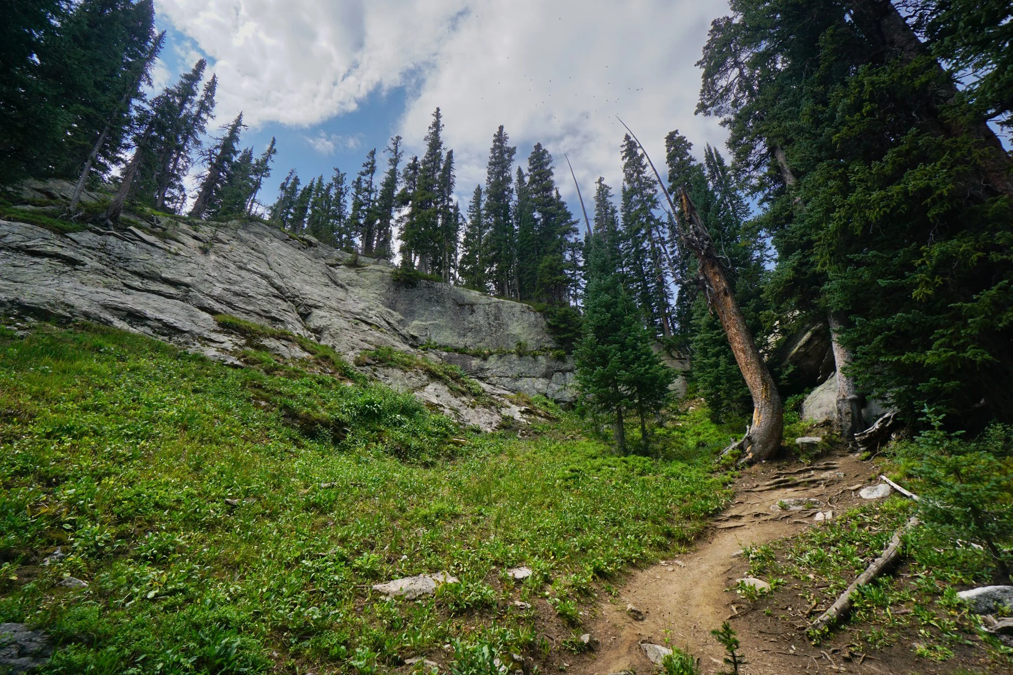HeartLakeDSC03946-2.jpg