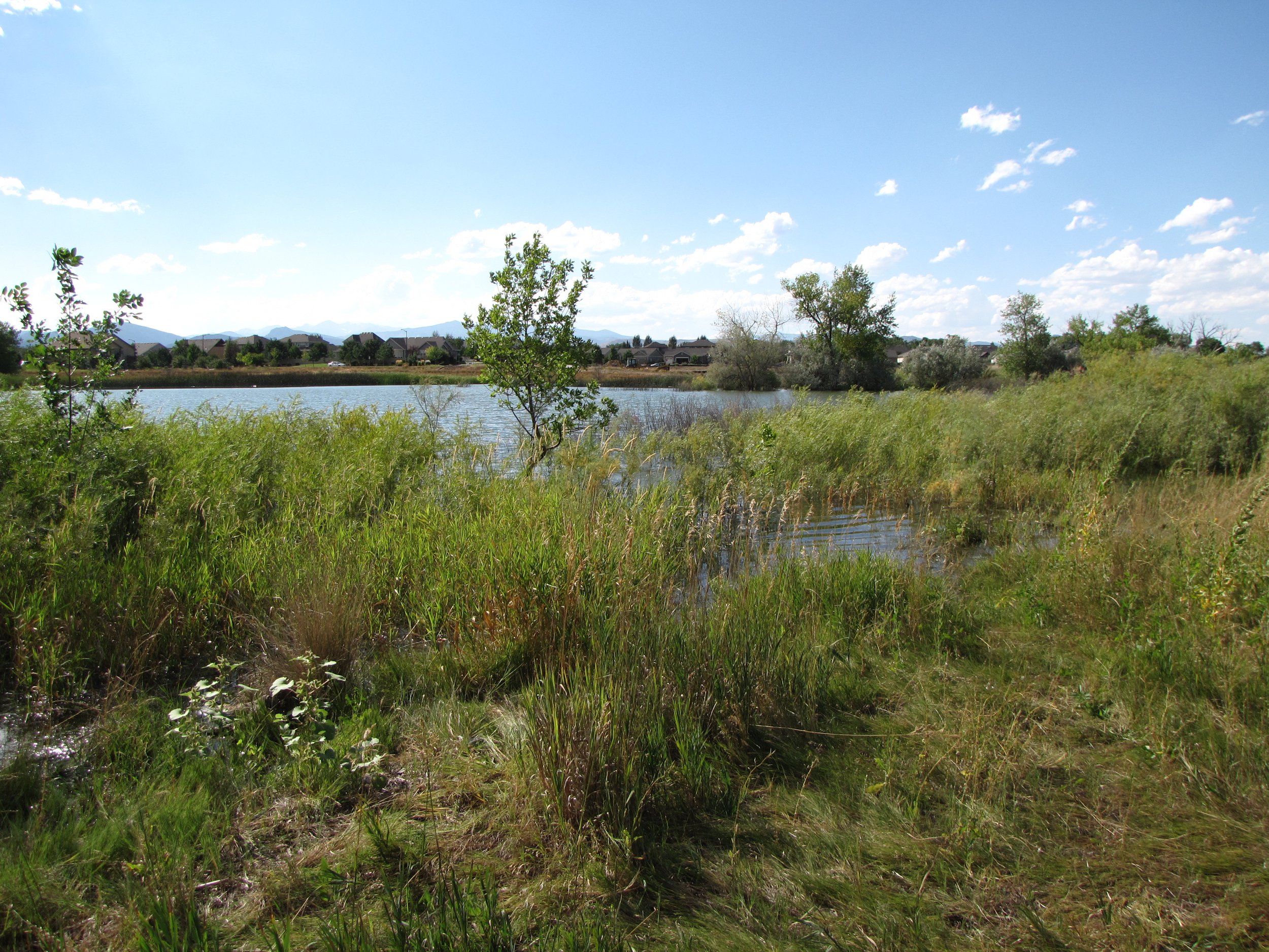 BoydLakeIMG_3962.JPG