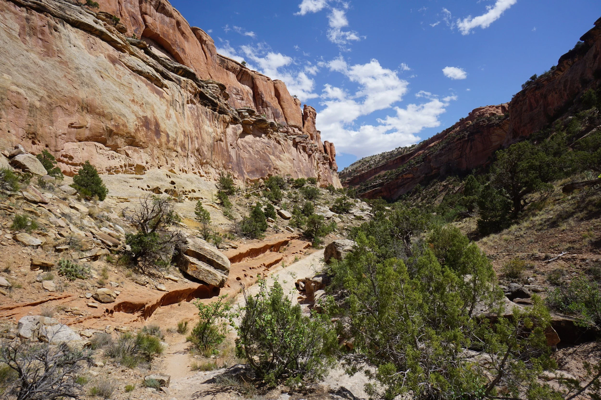 EchoCanyonCOLMDSC06209.JPG