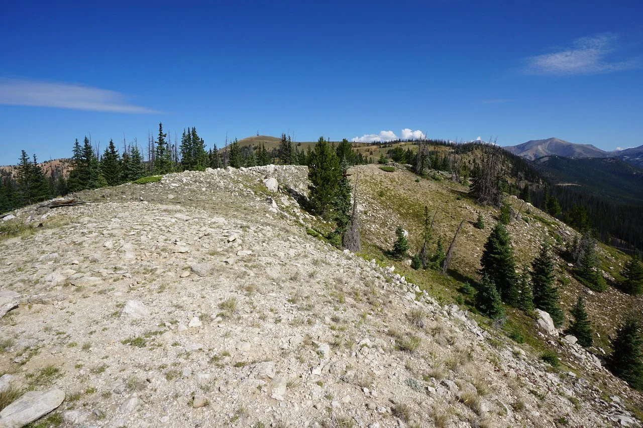 DSC03635-X2.jpg