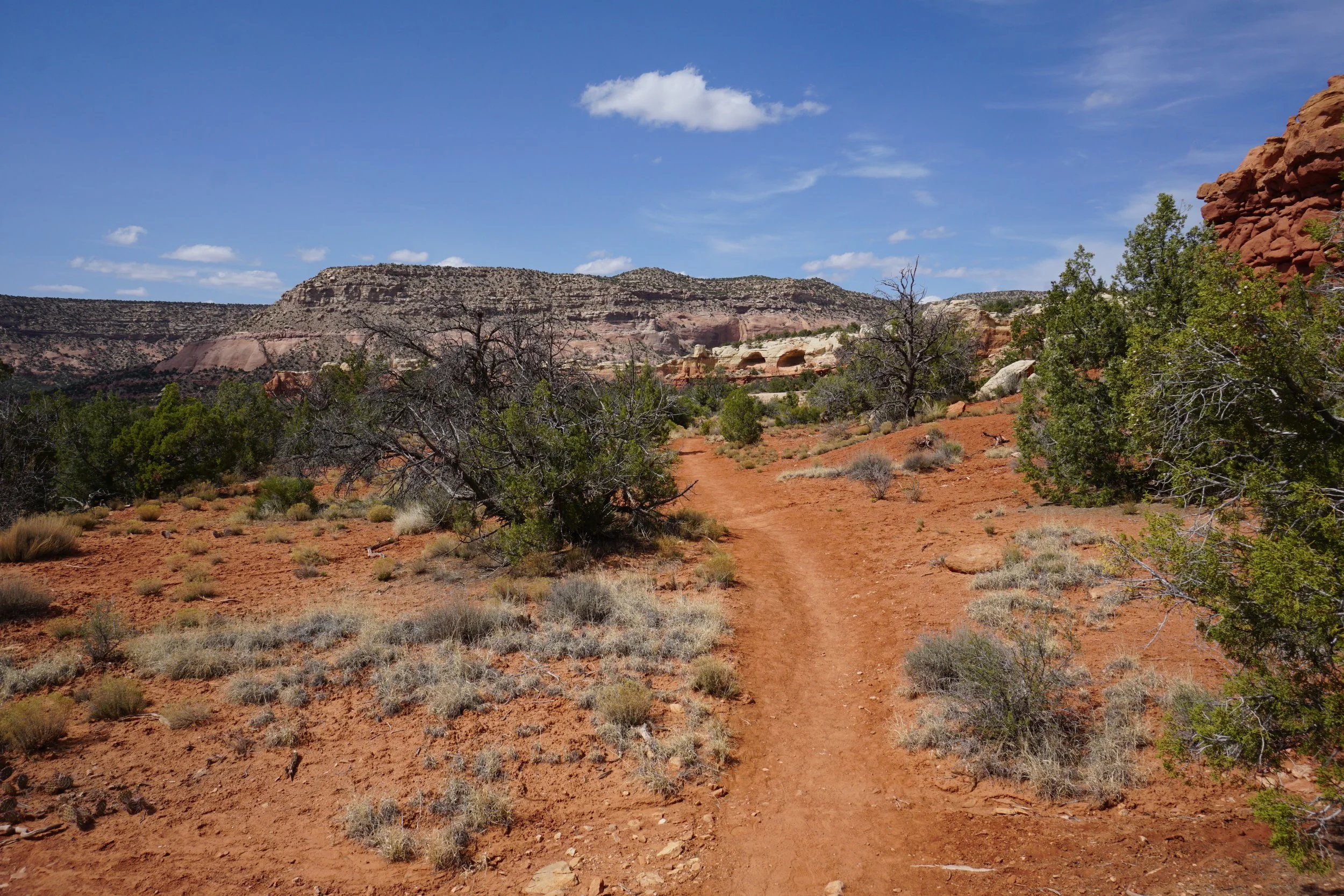 SandCanyonDSC03429.JPG