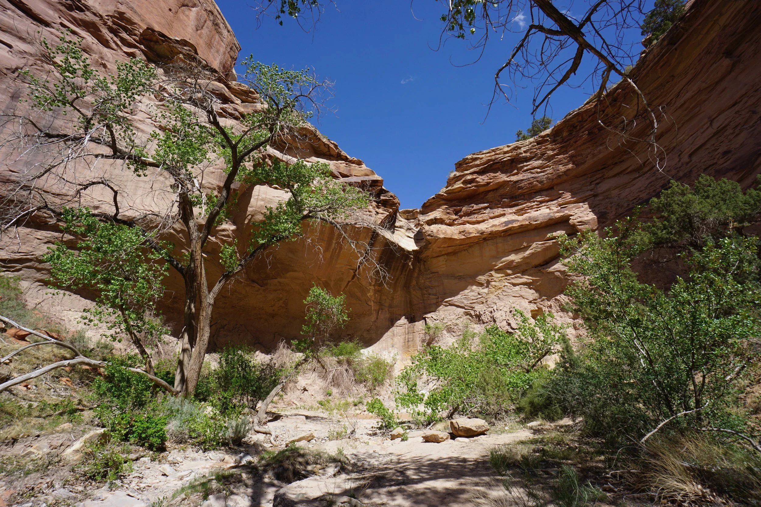 EchoCanyonCOLMDSC06238.JPG