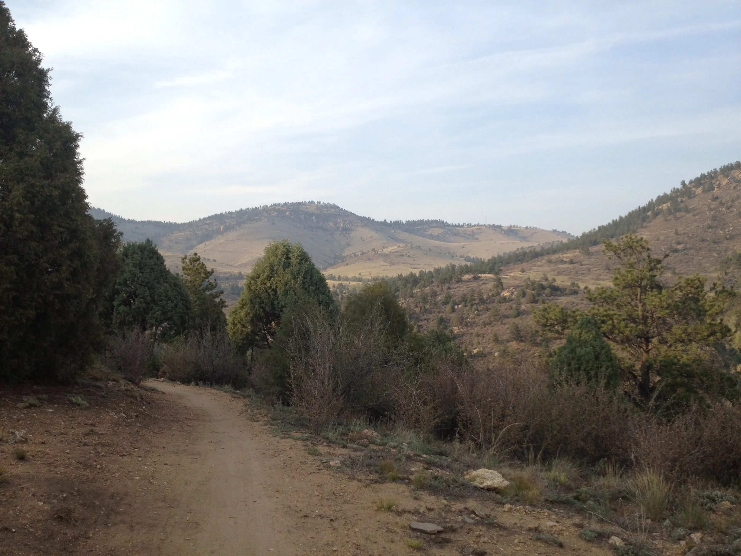 MayhemIMG_3319.jpg
