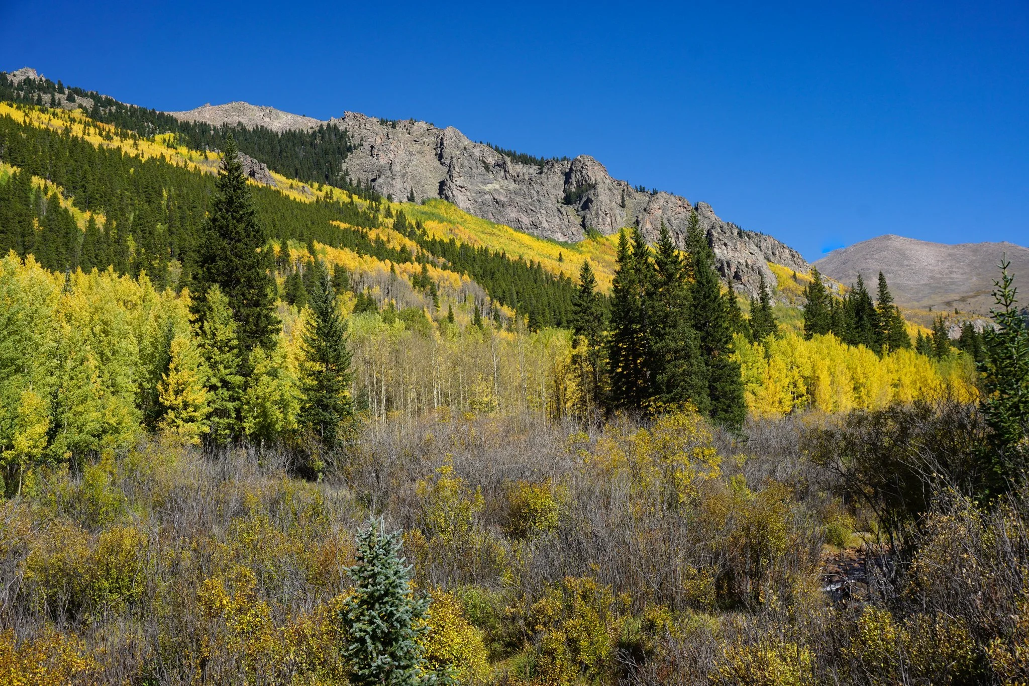 AbyssTrailDSC04785-2.jpg