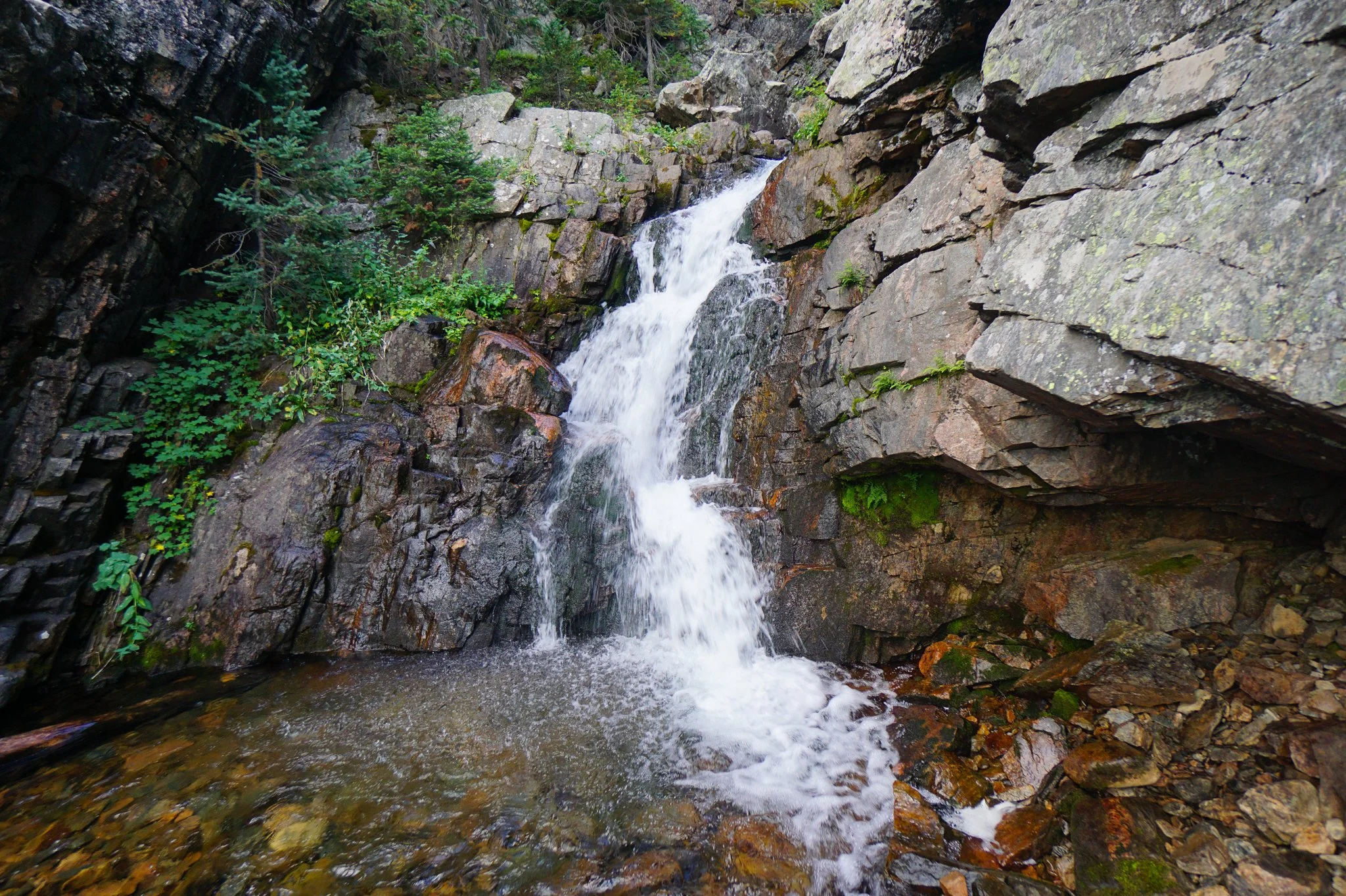 DSC04253-2.jpg