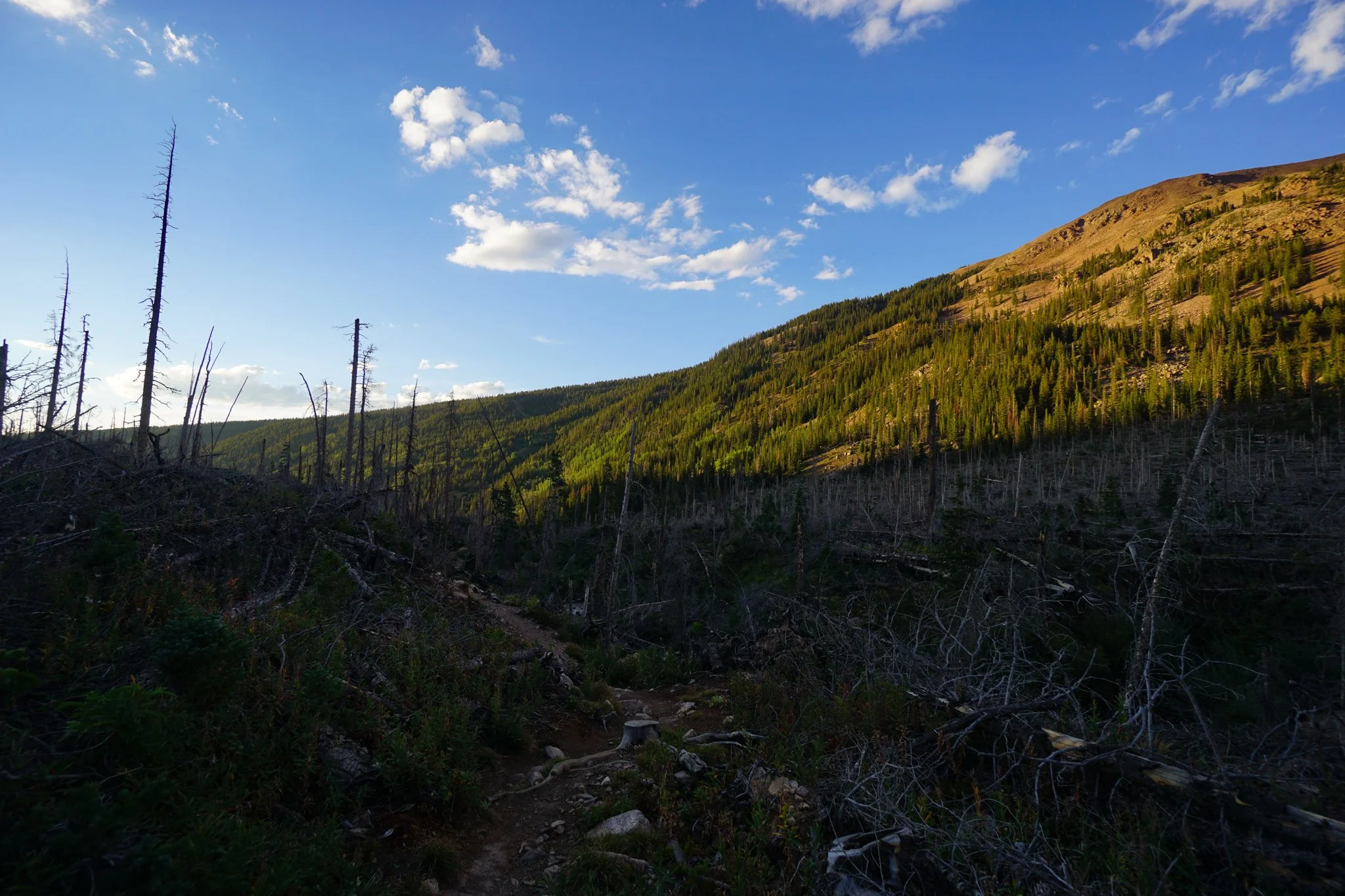 DSC04305-2.jpg