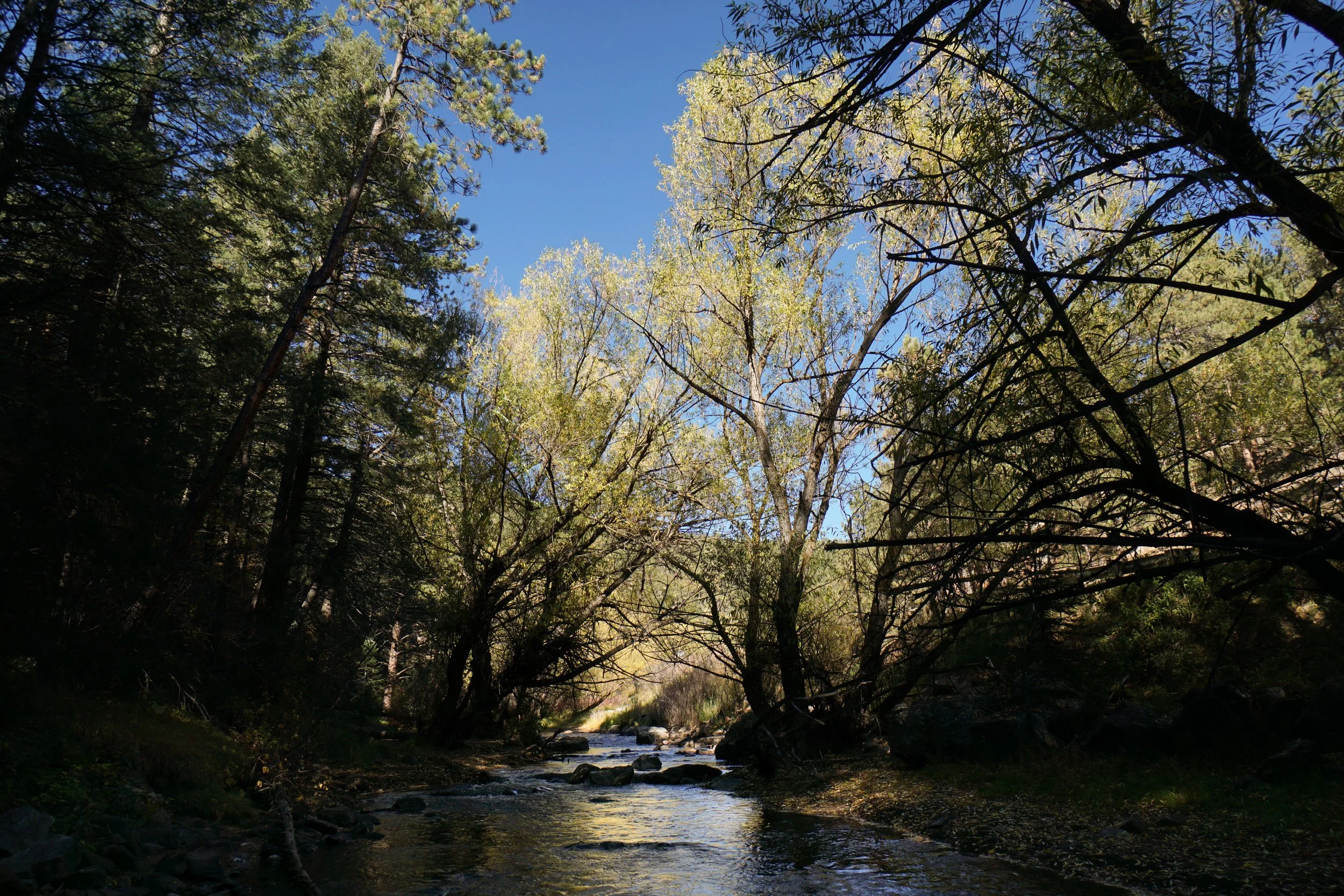 CorwinaBearCreekDSC03657-2.jpg