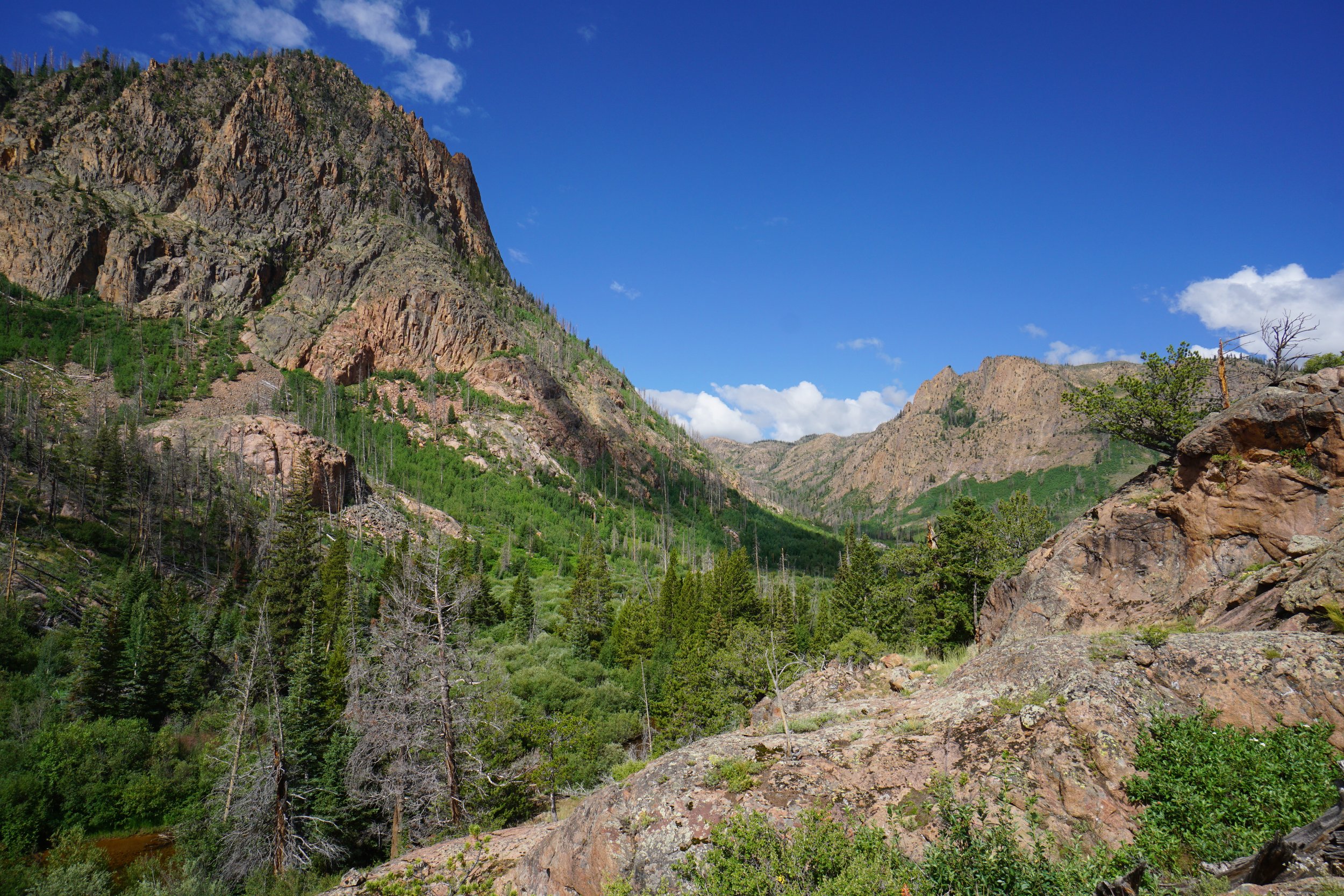 RedCanyonDSC04119.JPG