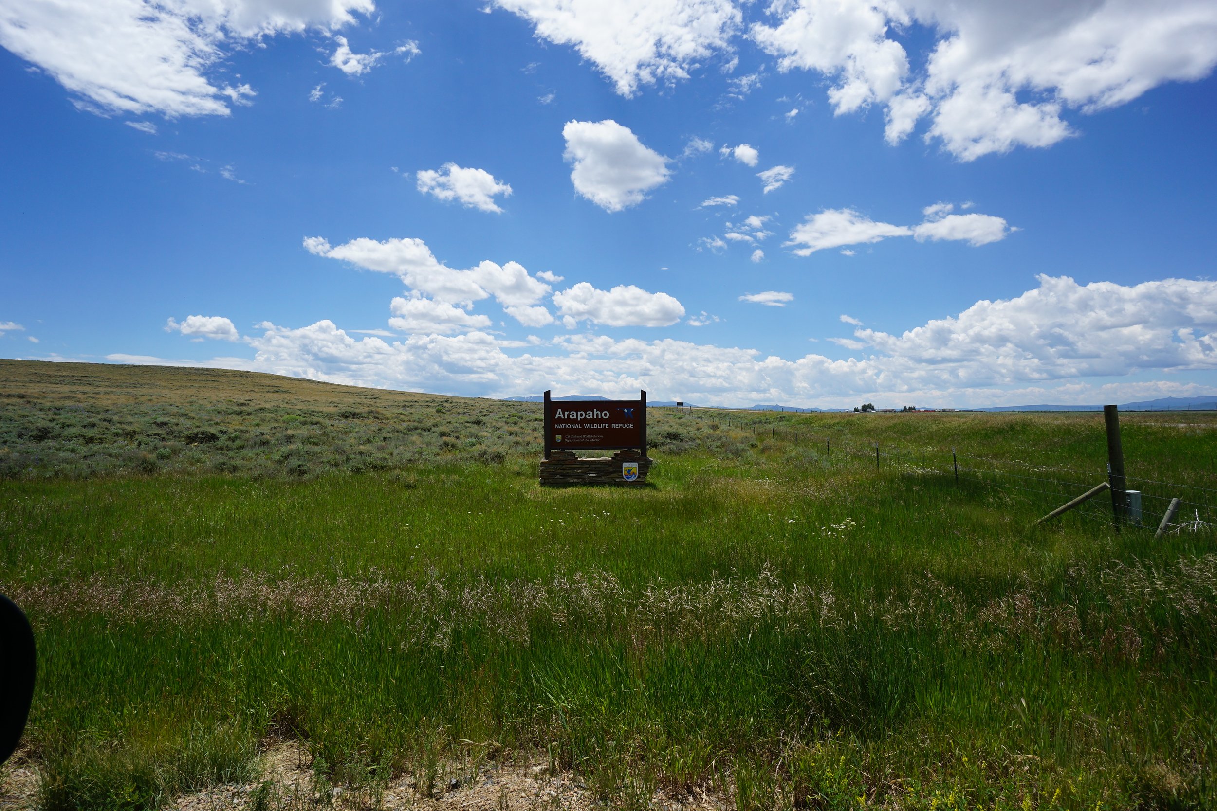 ArapahoNWRDSC00400-X5.jpg