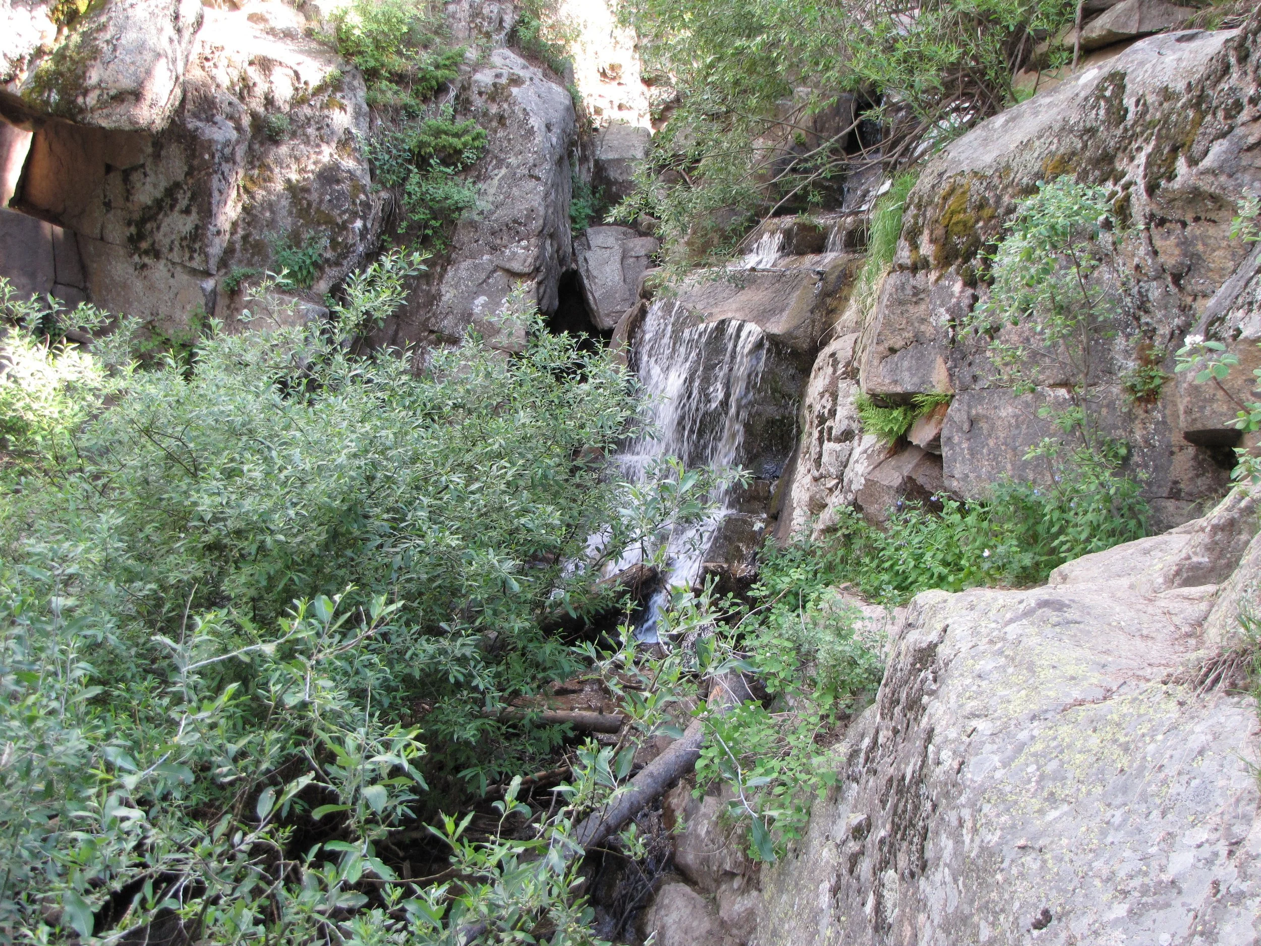 MaxwellFallsIMG_0416.jpg