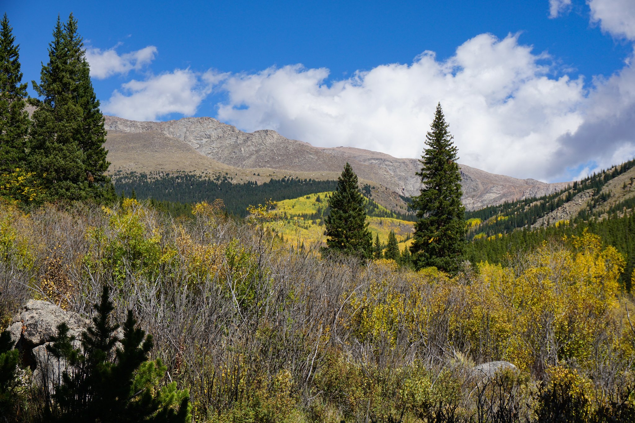 AbyssTrailDSC05073-2.jpg