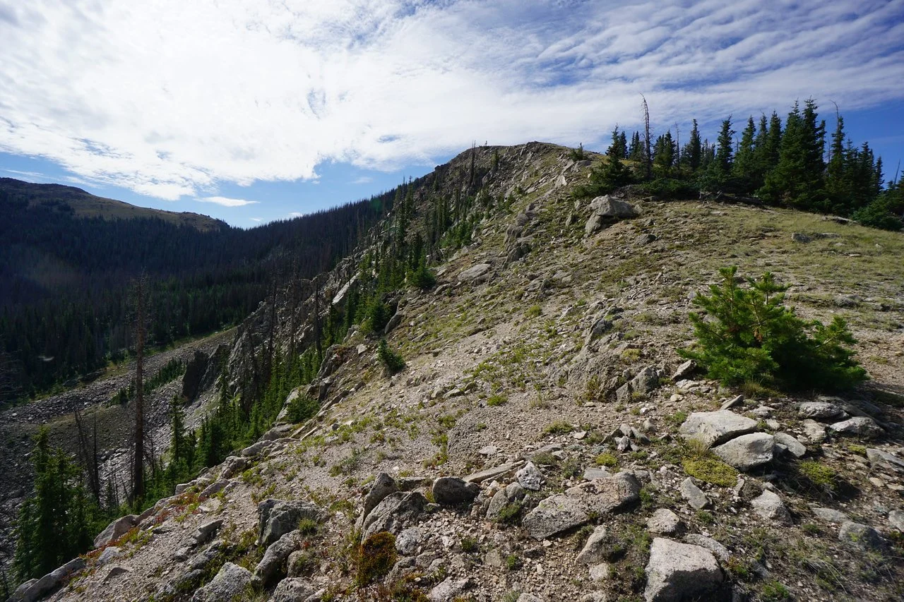 DSC03637-X2.jpg